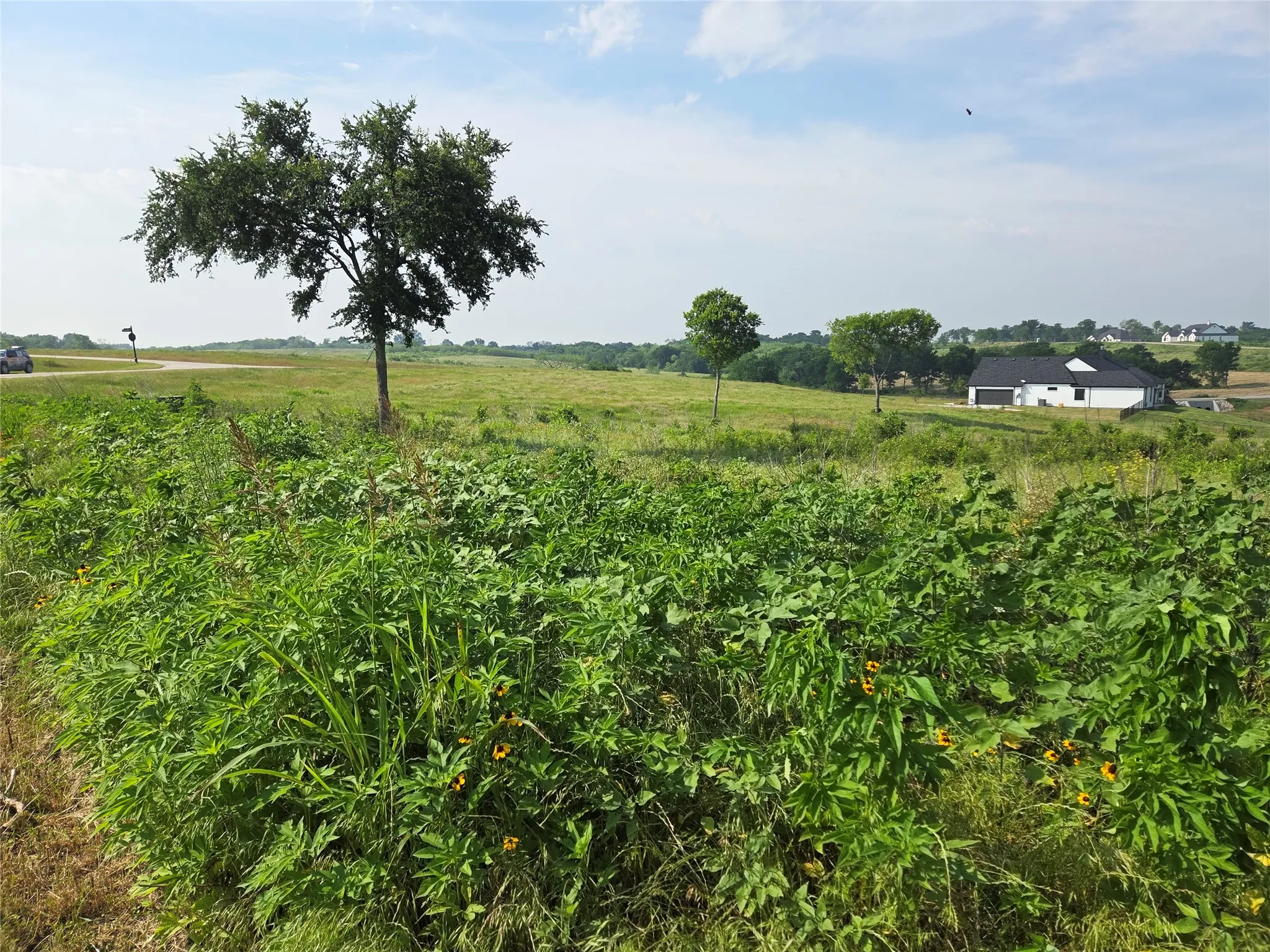 Unimproved Land For Sale in Navarro County , Lot 42 Barefoot Bay Boulevard, Corsicana, Texas 75109, 0, 0, Garage spaces, 0 Sqft, built in 0, mls#21372393, Real Estate Agent in Corsicana, Homes For Sale in Navarro county, Homes For Sale in Corsicana, Realtor in Corsicana Texas, Real Estate Brokerage Independent Realty Texas, Luminita Cordes Realtor