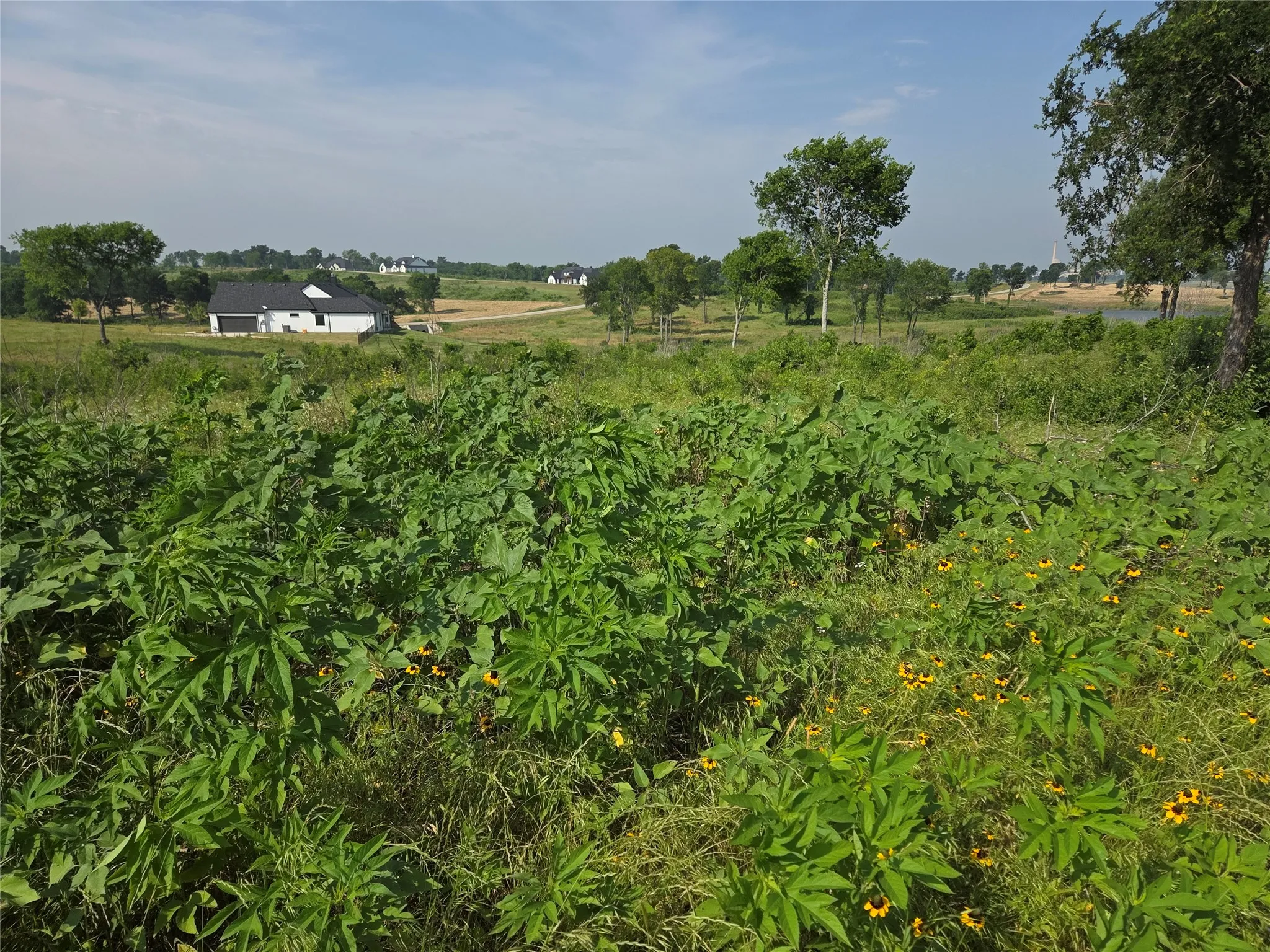 Unimproved Land For Sale in Navarro County , Lot 42 Barefoot Bay Boulevard, Corsicana, Texas 75109, 0, 0, Garage spaces, 0 Sqft, built in 0, mls#21372393, Real Estate Agent in Corsicana, Homes For Sale in Navarro county, Homes For Sale in Corsicana, Realtor in Corsicana Texas, Real Estate Brokerage Independent Realty Texas, Luminita Cordes Realtor