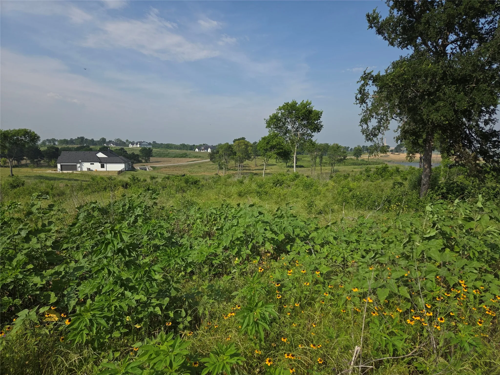 Unimproved Land For Sale in Navarro County , Lot 42 Barefoot Bay Boulevard, Corsicana, Texas 75109, 0, 0, Garage spaces, 0 Sqft, built in 0, mls#21372393, Real Estate Agent in Corsicana, Homes For Sale in Navarro county, Homes For Sale in Corsicana, Realtor in Corsicana Texas, Real Estate Brokerage Independent Realty Texas, Luminita Cordes Realtor