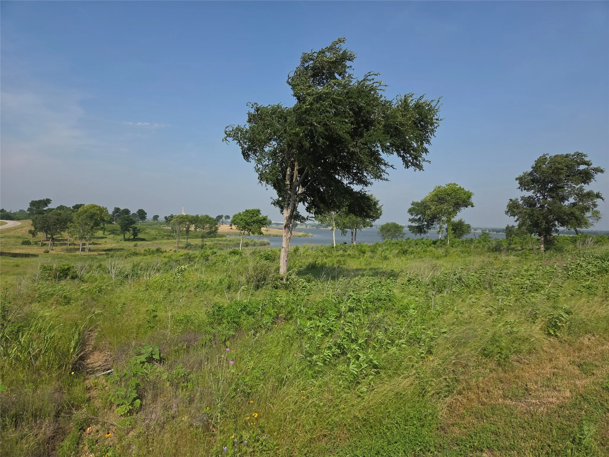 Unimproved Land For Sale in Navarro County , Lot 42 Barefoot Bay Boulevard, Corsicana, Texas 75109, 0, 0, Garage spaces, 0 Sqft, built in 0, mls#21372393, Real Estate Agent in Corsicana, Homes For Sale in Navarro county, Homes For Sale in Corsicana, Realtor in Corsicana Texas, Real Estate Brokerage Independent Realty Texas, Luminita Cordes Realtor