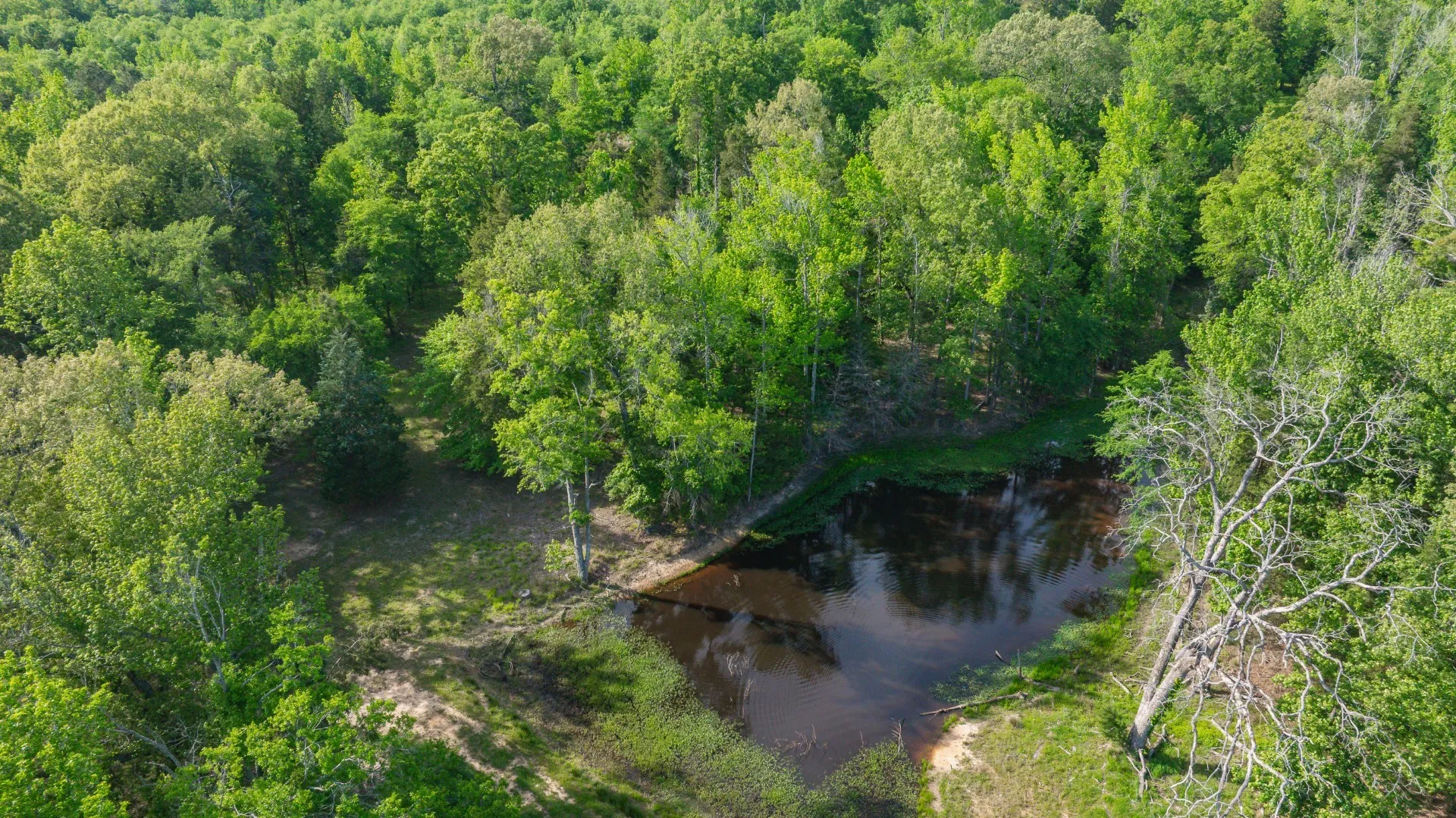 Farm For Sale in Bowie County , 8324 Fm 44 E, Simms, Texas 75574, 5 Bedroom, 8 Bathroom, 7 Garage spaces, 7,400 Sqft, built in 2024, mls#21374003, Real Estate Agent in Simms, Homes For Sale in Bowie county, Homes For Sale in Simms, Realtor in Simms Texas, Real Estate Brokerage Independent Realty Texas, Luminita Cordes Realtor