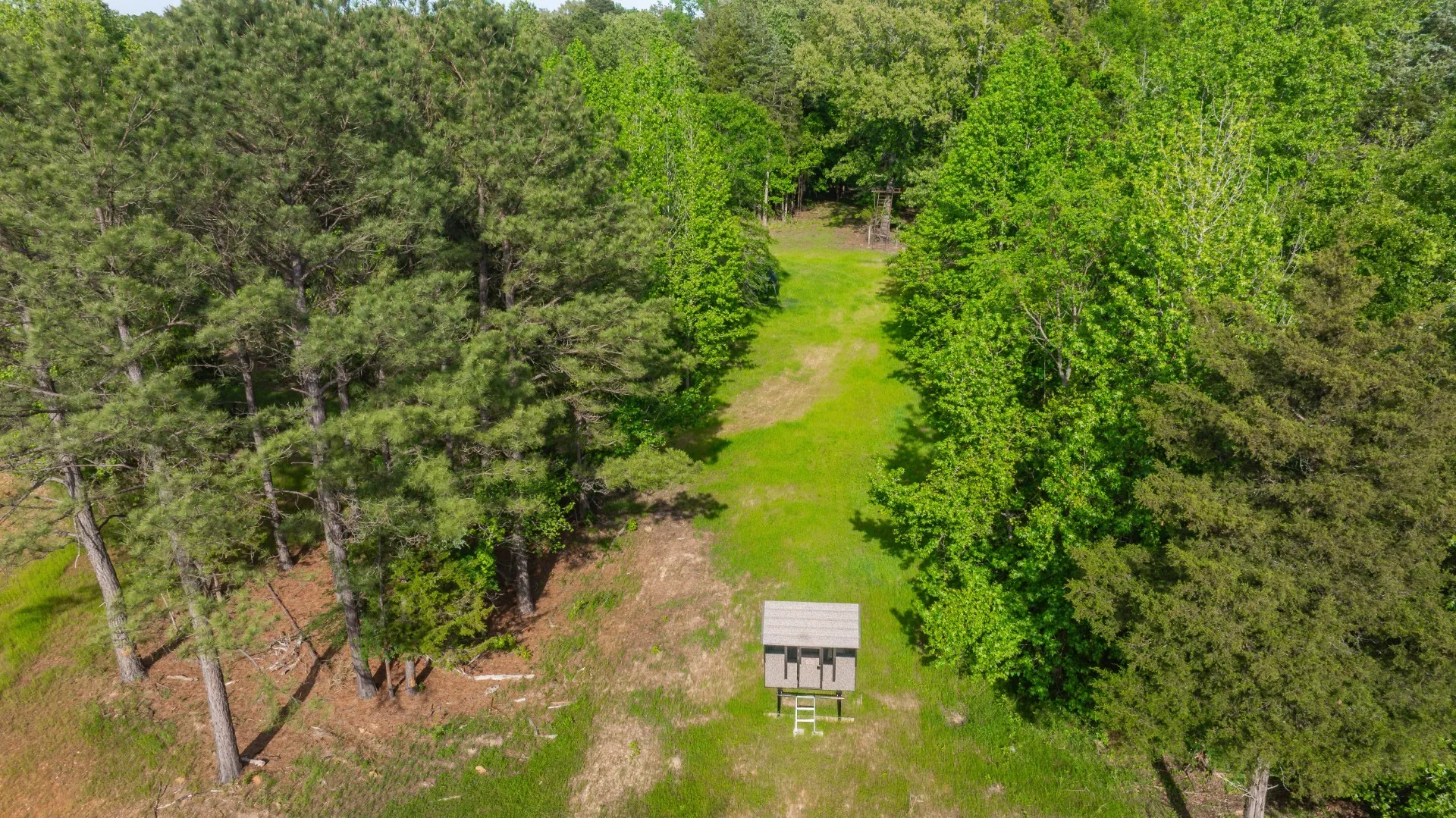 Farm For Sale in Bowie County , 8324 Fm 44 E, Simms, Texas 75574, 5 Bedroom, 8 Bathroom, 7 Garage spaces, 7,400 Sqft, built in 2024, mls#21374003, Real Estate Agent in Simms, Homes For Sale in Bowie county, Homes For Sale in Simms, Realtor in Simms Texas, Real Estate Brokerage Independent Realty Texas, Luminita Cordes Realtor