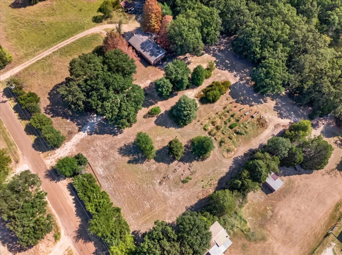 Spacious lot with mature trees, a defined road, and surrounding wooded areas