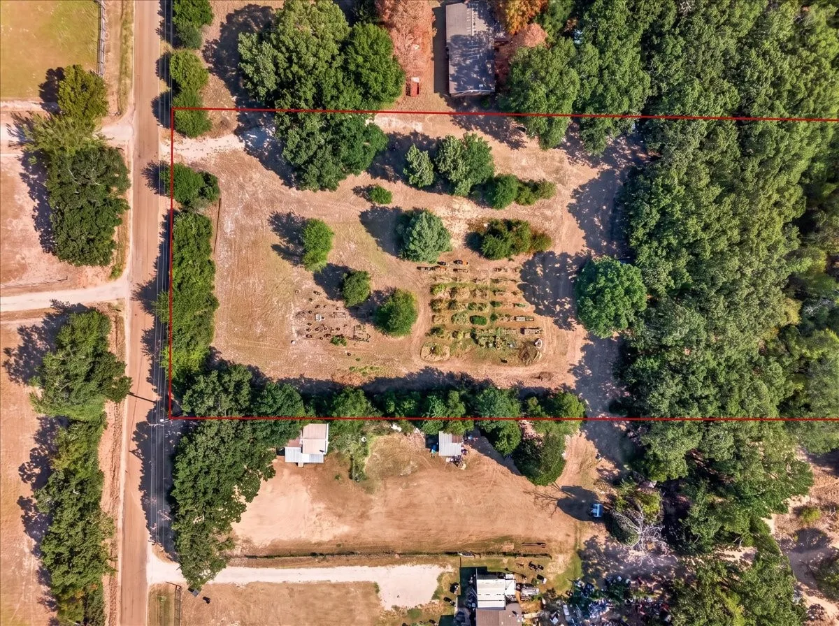 Expansive lot featuring mature trees, established garden beds, and a perimeter of natural foliage