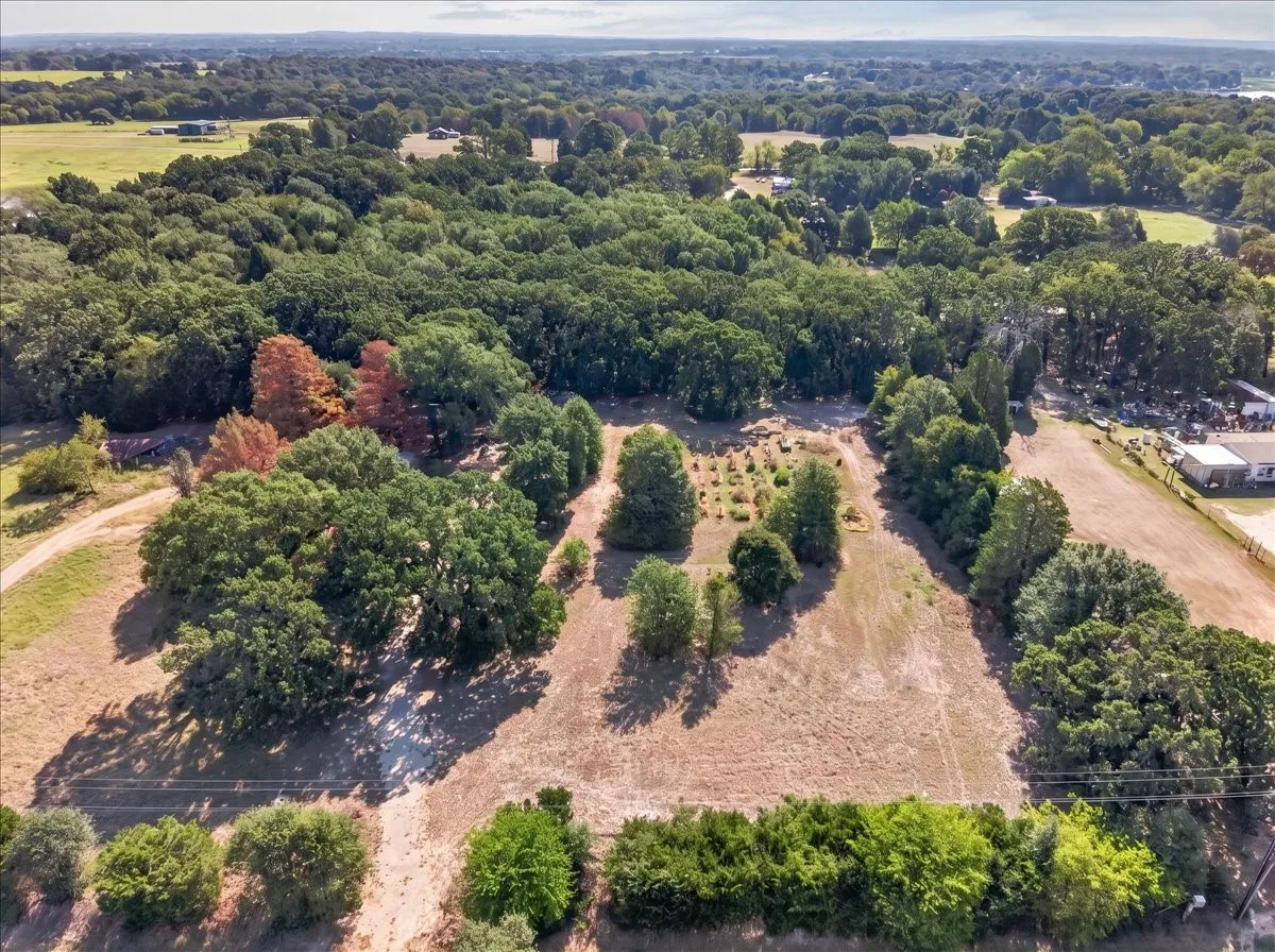 Expansive wooded acreage featuring mature trees and open clearings