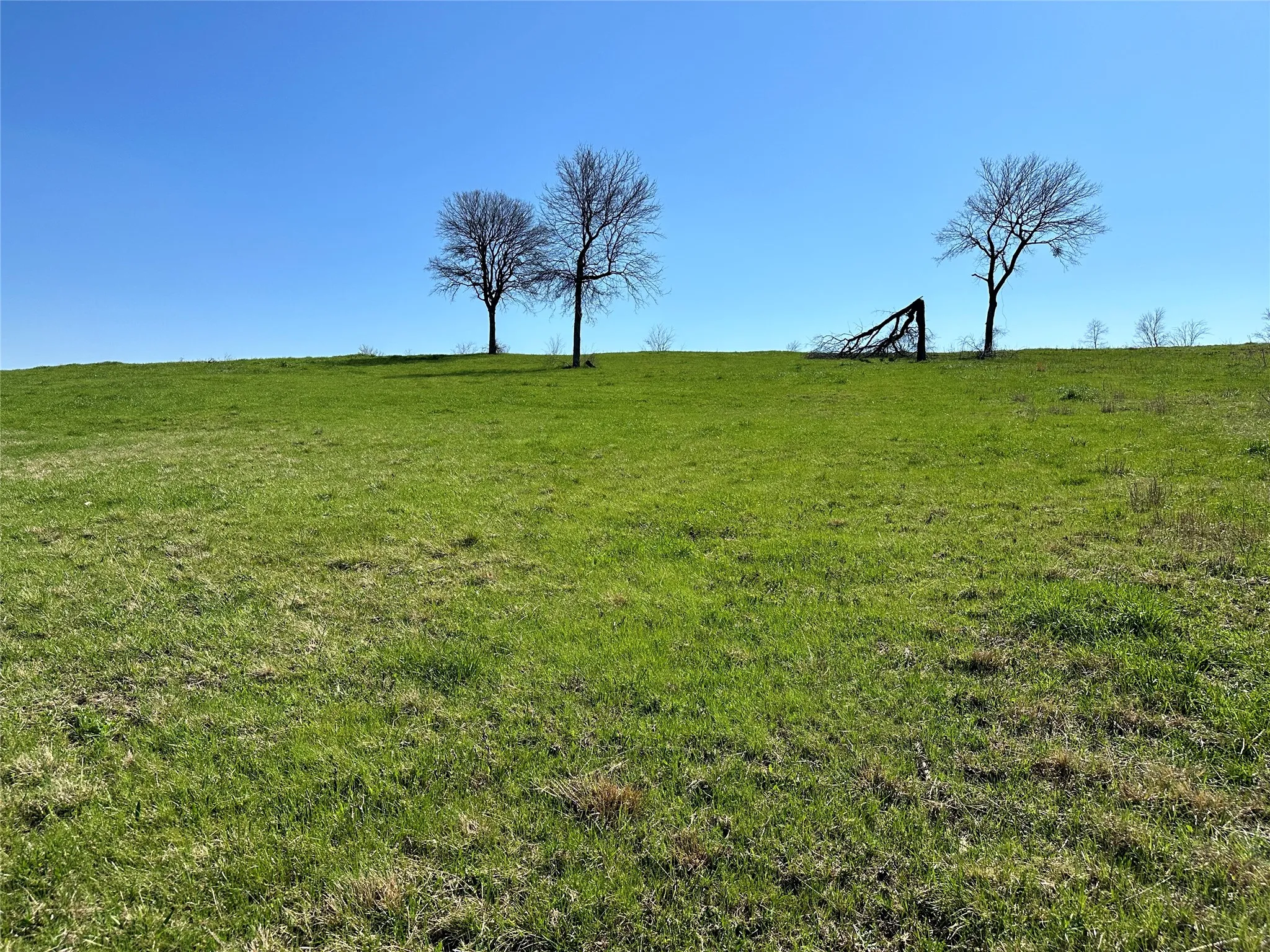Unimproved Land For Sale in Navarro County , Lot 76 Richland Park Drive, Corsicana, Texas 75109, 0, 0, Garage spaces, 0 Sqft, built in 0, mls#21372323, Real Estate Agent in Corsicana, Homes For Sale in Navarro county, Homes For Sale in Corsicana, Realtor in Corsicana Texas, Real Estate Brokerage Independent Realty Texas, Luminita Cordes Realtor