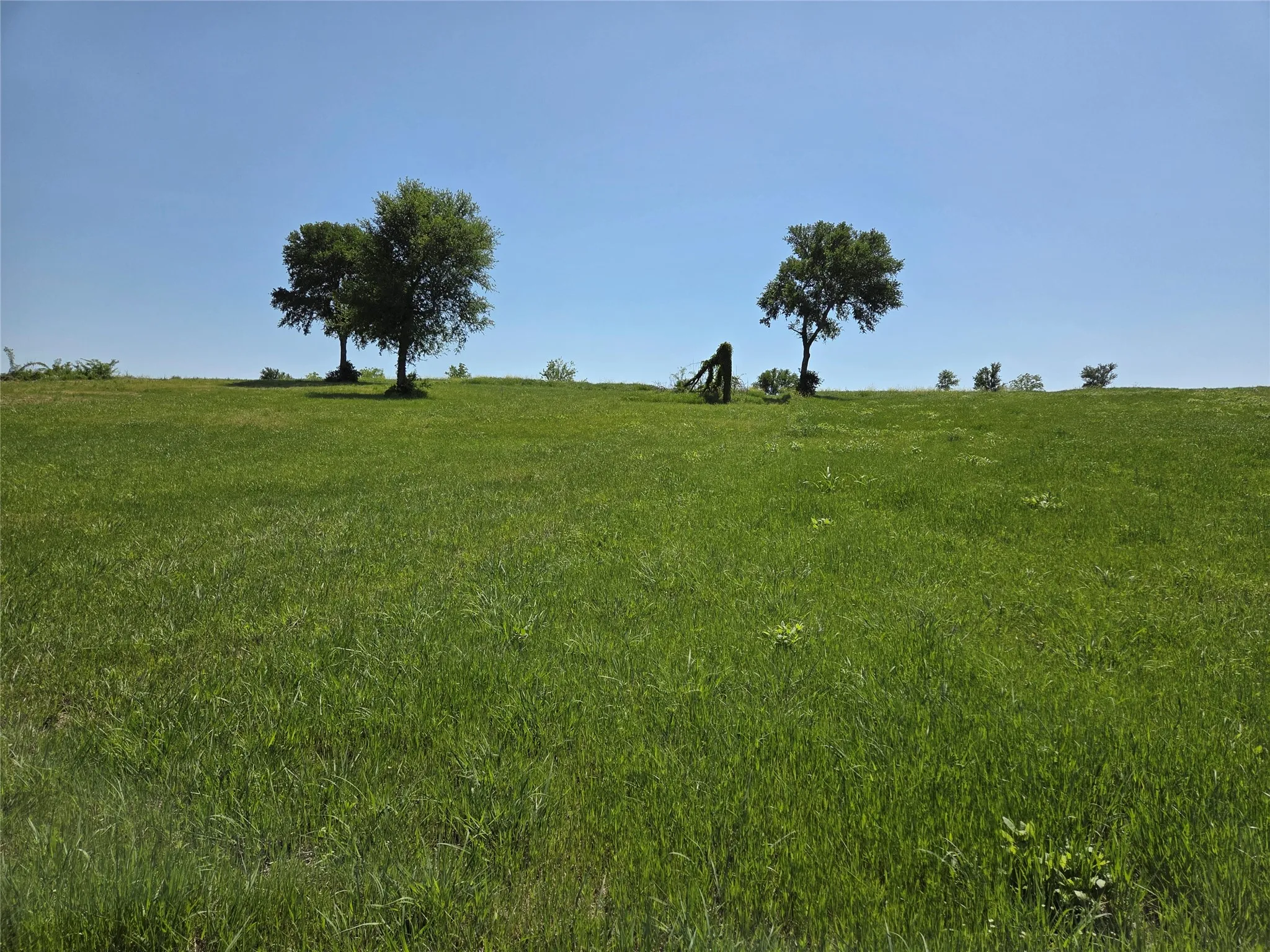 Unimproved Land For Sale in Navarro County , Lot 76 Richland Park Drive, Corsicana, Texas 75109, 0, 0, Garage spaces, 0 Sqft, built in 0, mls#21372323, Real Estate Agent in Corsicana, Homes For Sale in Navarro county, Homes For Sale in Corsicana, Realtor in Corsicana Texas, Real Estate Brokerage Independent Realty Texas, Luminita Cordes Realtor
