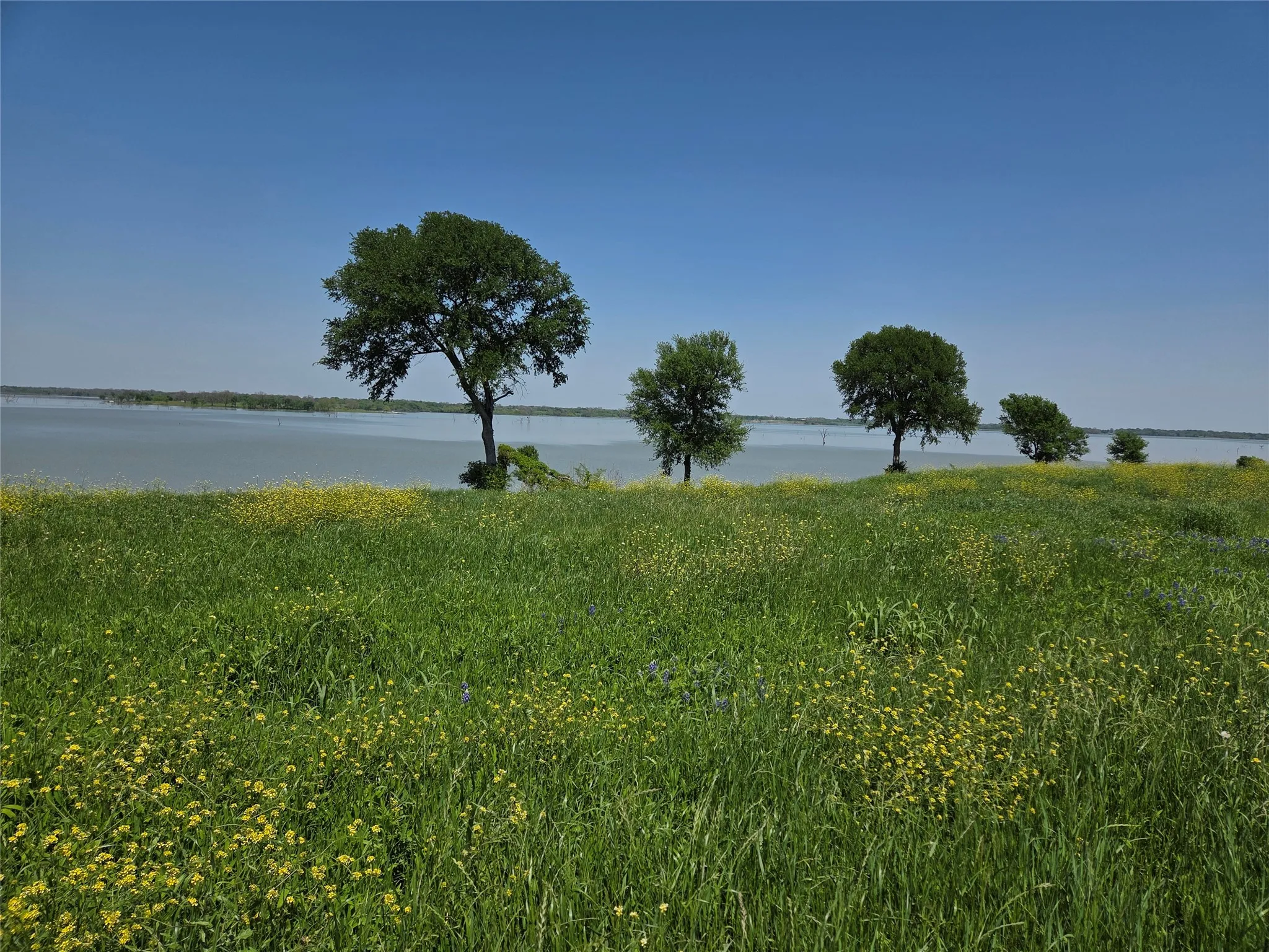 Unimproved Land For Sale in Navarro County , Lot 76 Richland Park Drive, Corsicana, Texas 75109, 0, 0, Garage spaces, 0 Sqft, built in 0, mls#21372323, Real Estate Agent in Corsicana, Homes For Sale in Navarro county, Homes For Sale in Corsicana, Realtor in Corsicana Texas, Real Estate Brokerage Independent Realty Texas, Luminita Cordes Realtor