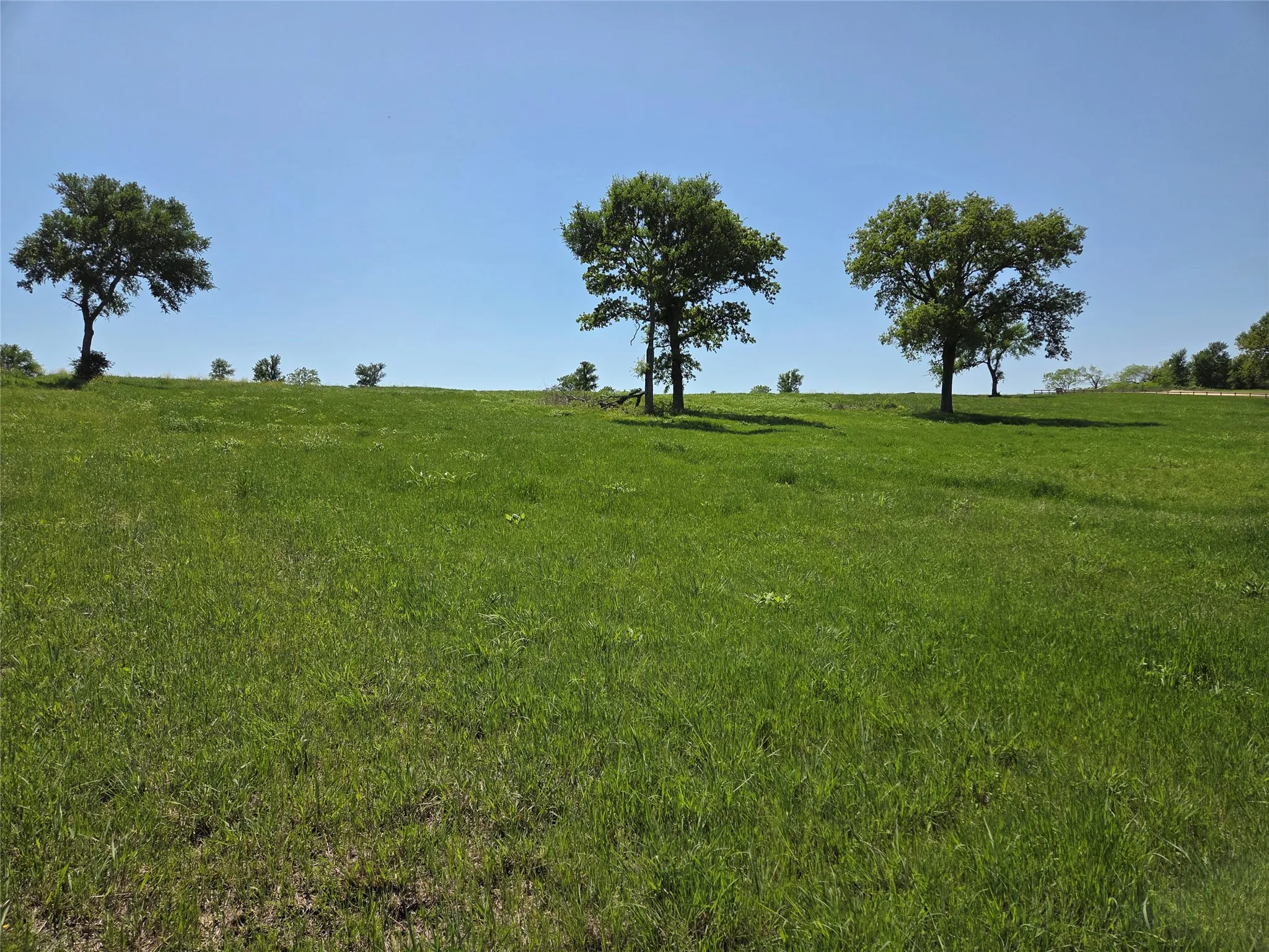 Unimproved Land For Sale in Navarro County , Lot 76 Richland Park Drive, Corsicana, Texas 75109, 0, 0, Garage spaces, 0 Sqft, built in 0, mls#21372323, Real Estate Agent in Corsicana, Homes For Sale in Navarro county, Homes For Sale in Corsicana, Realtor in Corsicana Texas, Real Estate Brokerage Independent Realty Texas, Luminita Cordes Realtor