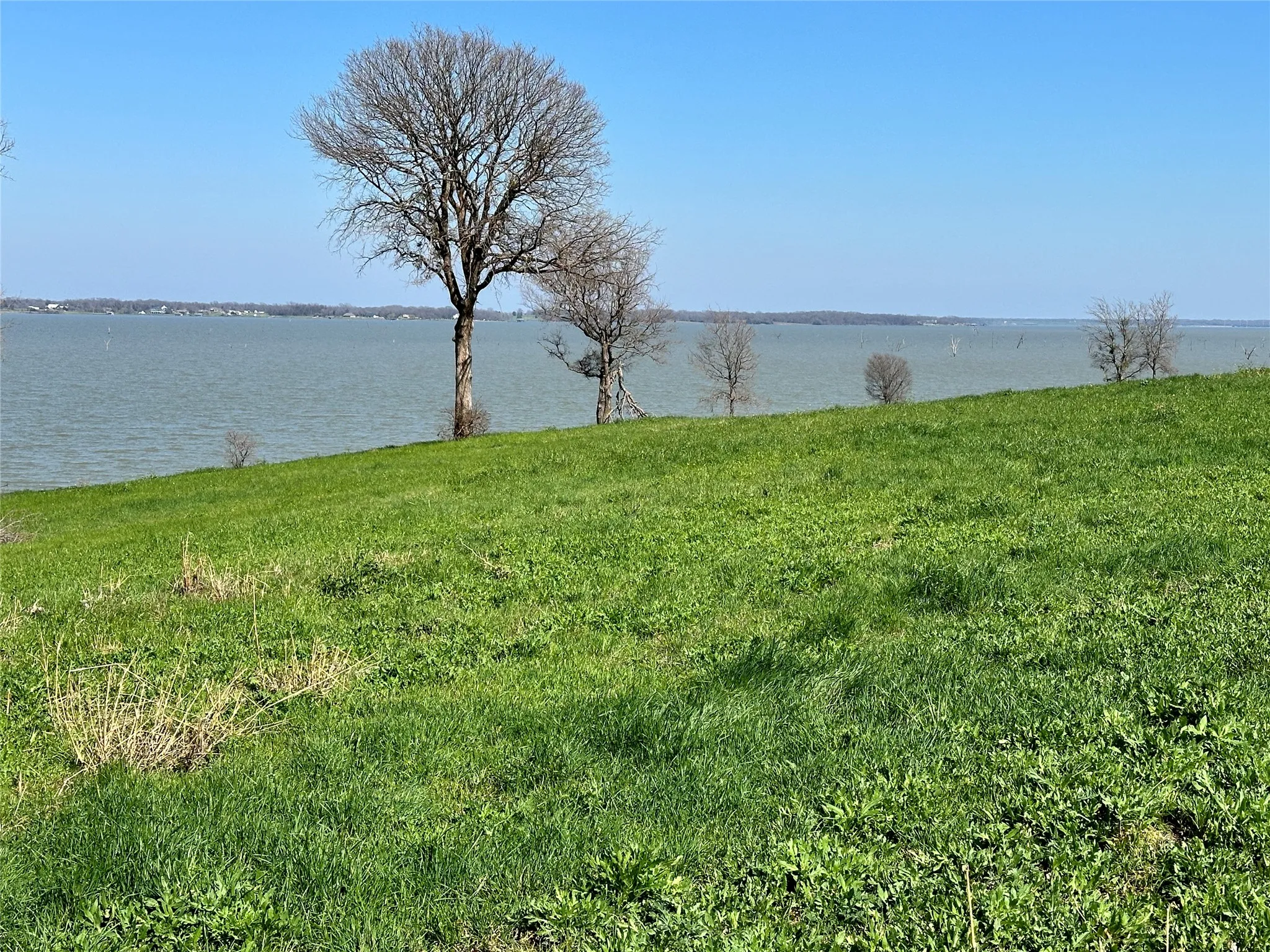 Unimproved Land For Sale in Navarro County , Lot 76 Richland Park Drive, Corsicana, Texas 75109, 0, 0, Garage spaces, 0 Sqft, built in 0, mls#21372323, Real Estate Agent in Corsicana, Homes For Sale in Navarro county, Homes For Sale in Corsicana, Realtor in Corsicana Texas, Real Estate Brokerage Independent Realty Texas, Luminita Cordes Realtor