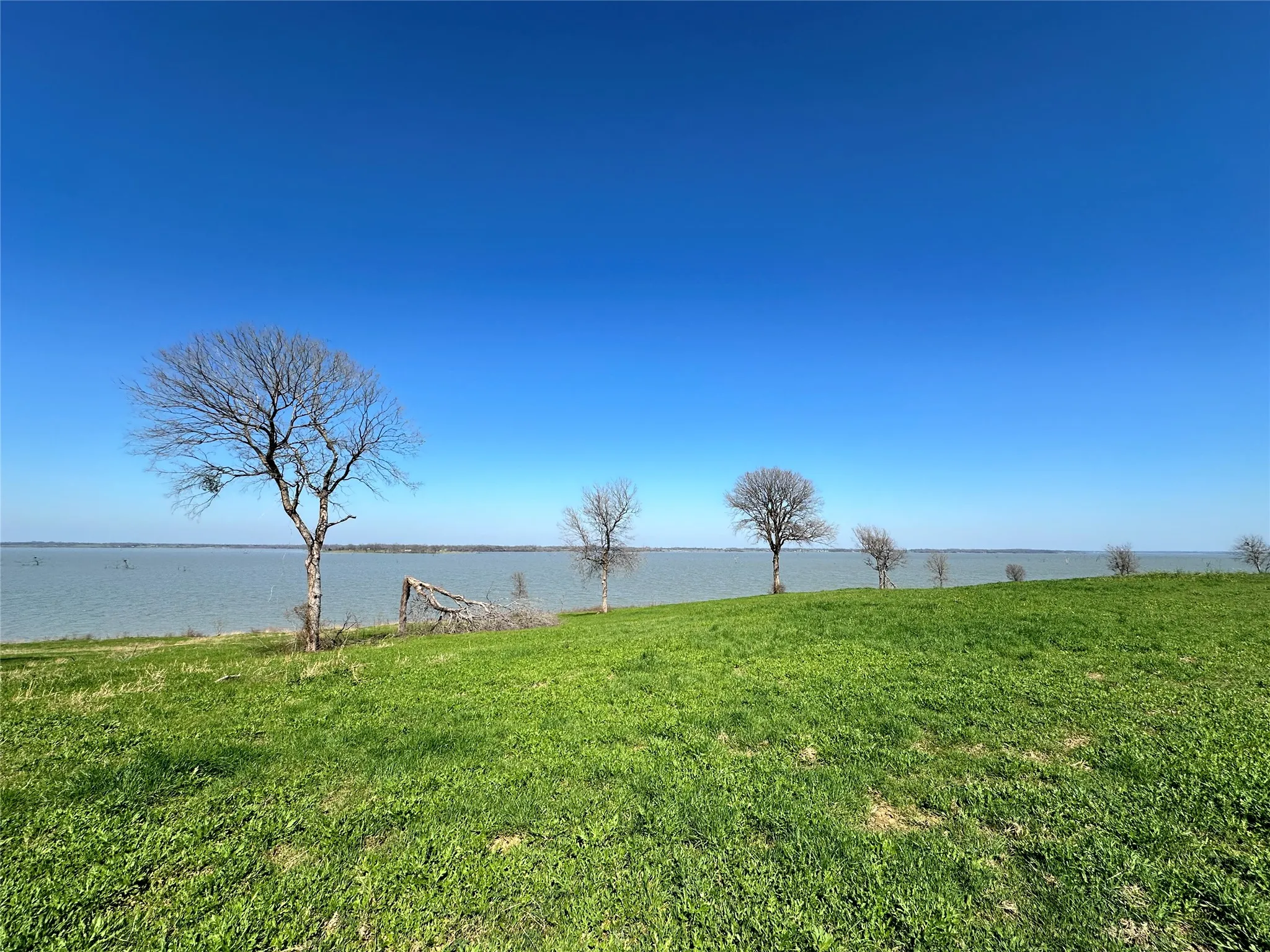 Unimproved Land For Sale in Navarro County , Lot 76 Richland Park Drive, Corsicana, Texas 75109, 0, 0, Garage spaces, 0 Sqft, built in 0, mls#21372323, Real Estate Agent in Corsicana, Homes For Sale in Navarro county, Homes For Sale in Corsicana, Realtor in Corsicana Texas, Real Estate Brokerage Independent Realty Texas, Luminita Cordes Realtor