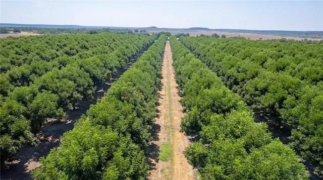 Additional Acres CR 216
