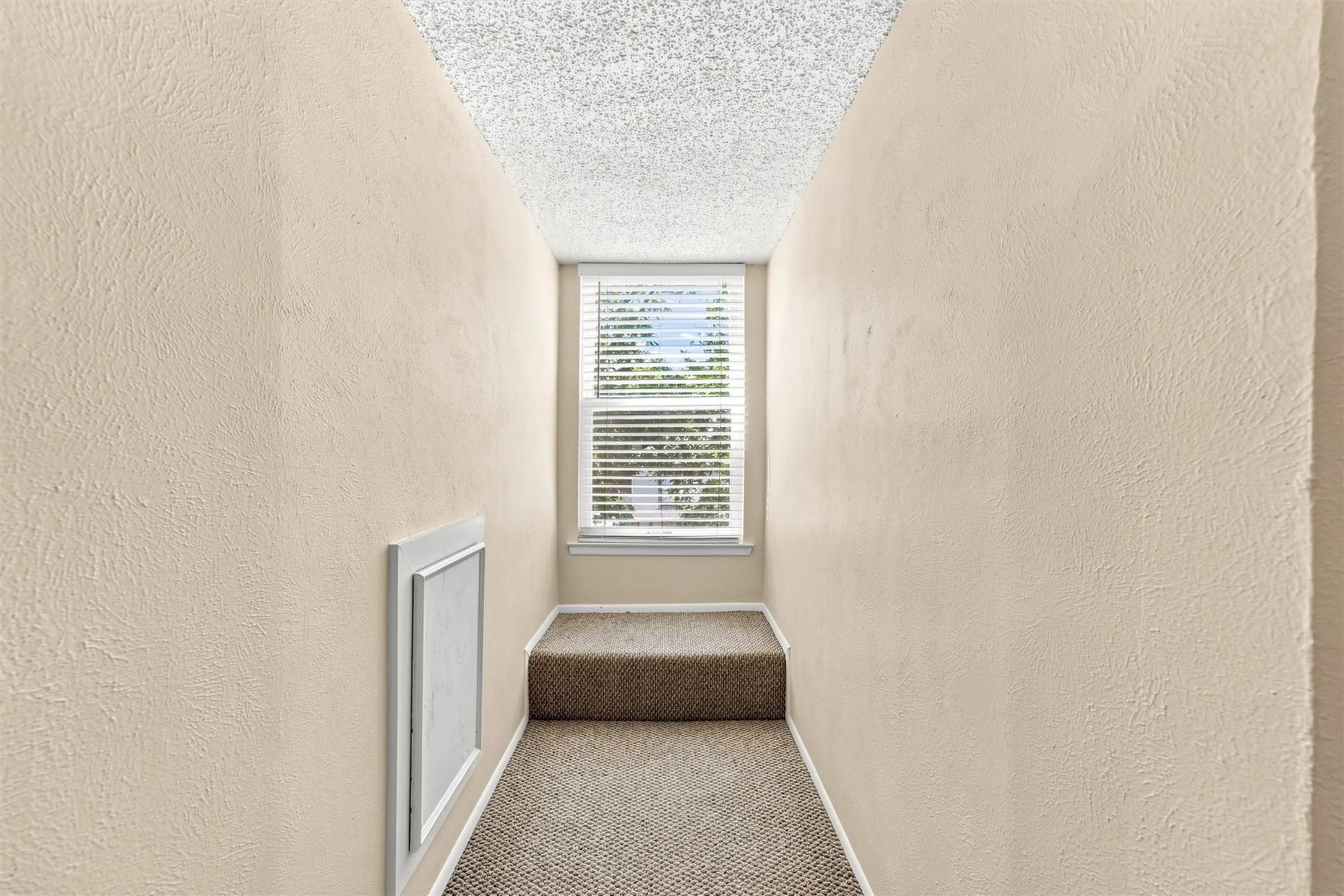 Carpeted flooring extending to a raised platform, textured walls, and a window with horizontal blinds