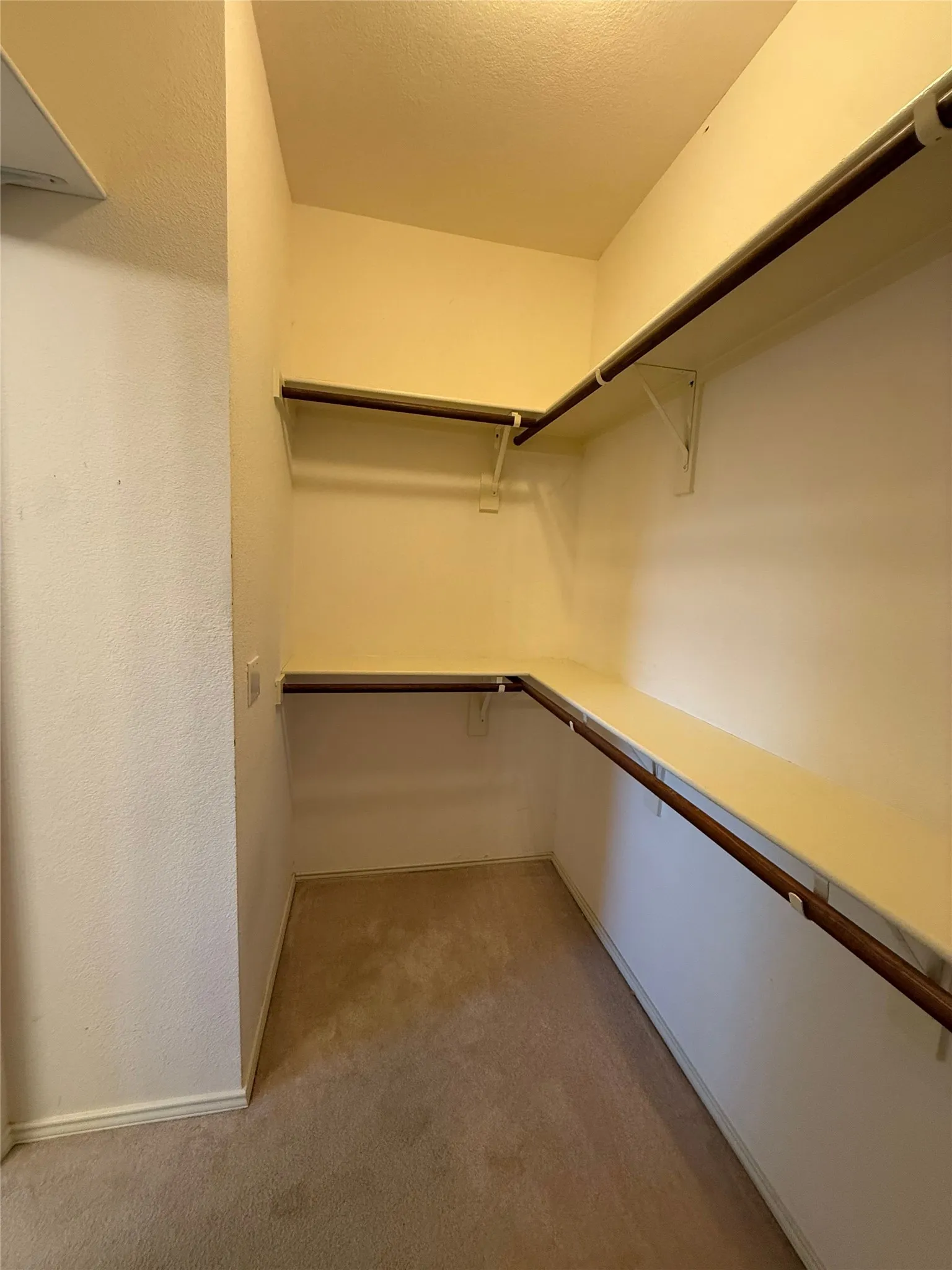 Carpeted closet featuring wrap-around shelving and clothing rods