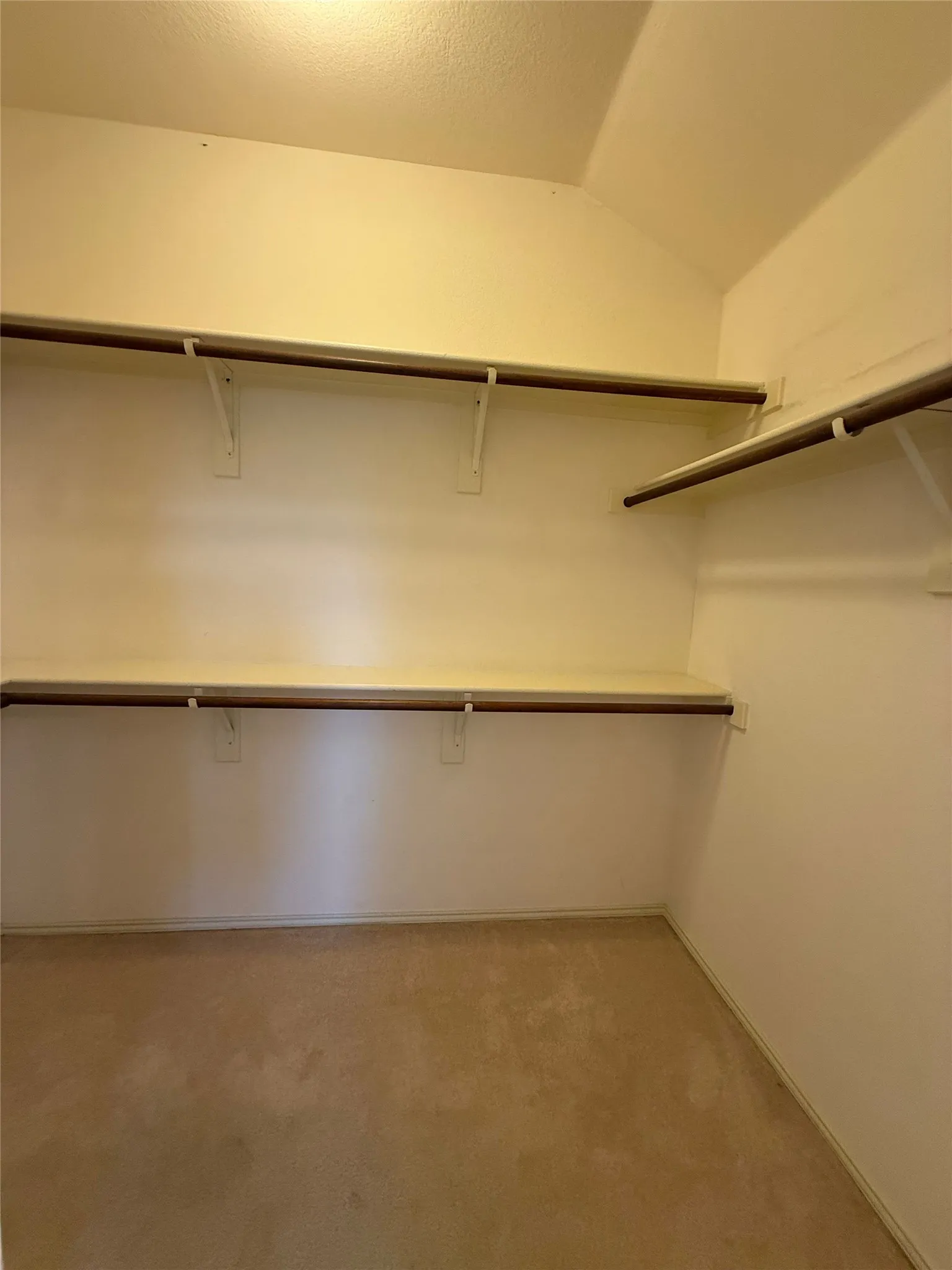 Carpeted closet space with multiple shelving units and hanging rods