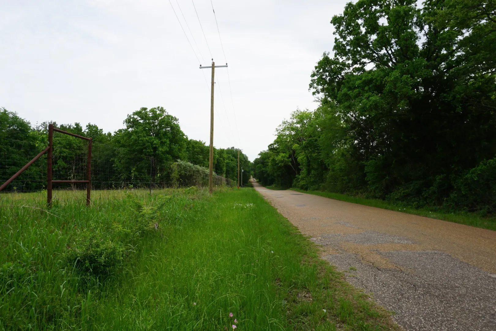 Unimproved Land For Sale in Henderson County , 11919 County Road 1200, Malakoff, Texas 75148, 0, 0, Garage spaces, 0 Sqft, built in 0, mls#21374117, Real Estate Agent in Malakoff, Homes For Sale in Henderson county, Homes For Sale in Malakoff, Realtor in Malakoff Texas, Real Estate Brokerage Independent Realty Texas, Luminita Cordes Realtor