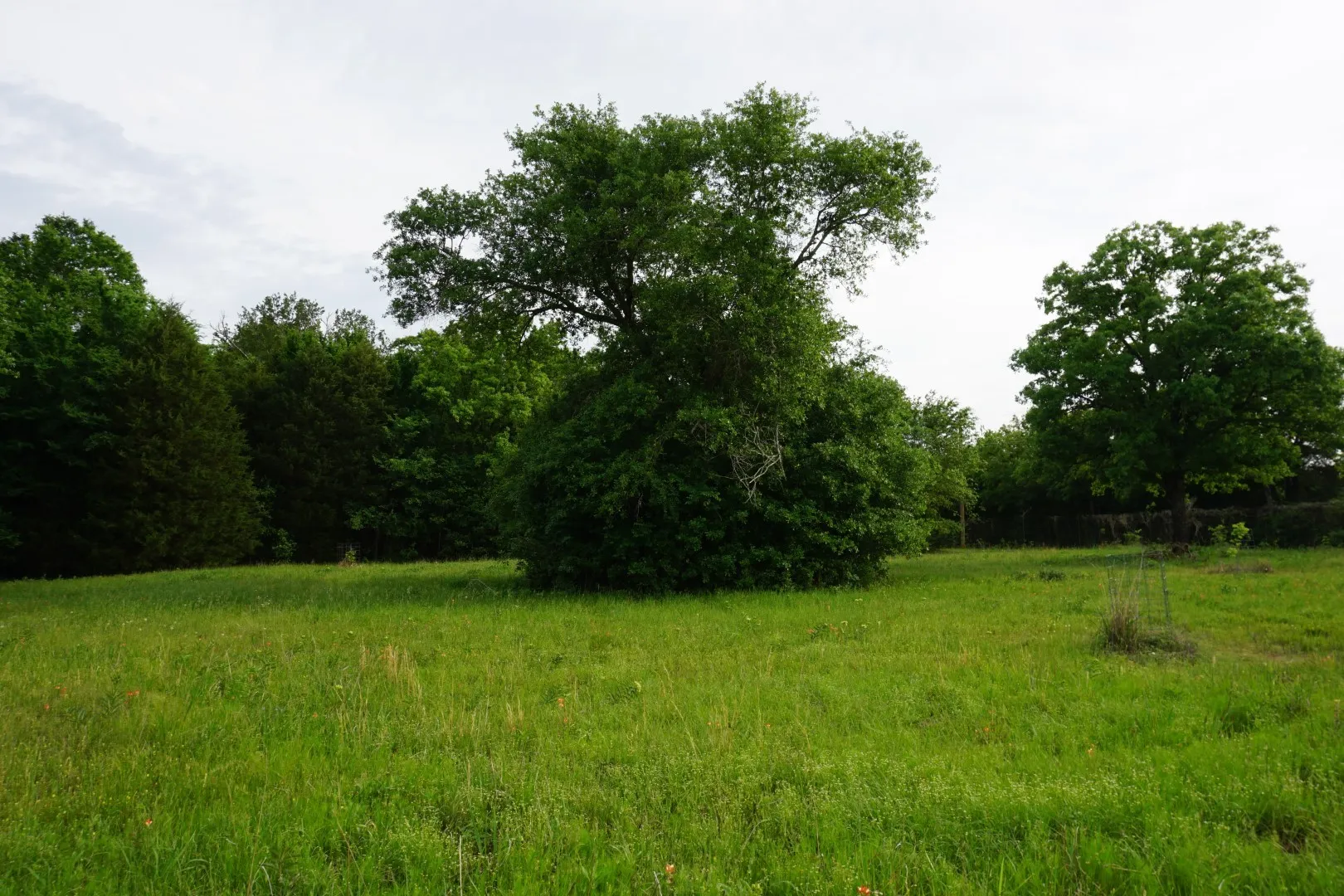 Unimproved Land For Sale in Henderson County , 11919 County Road 1200, Malakoff, Texas 75148, 0, 0, Garage spaces, 0 Sqft, built in 0, mls#21374117, Real Estate Agent in Malakoff, Homes For Sale in Henderson county, Homes For Sale in Malakoff, Realtor in Malakoff Texas, Real Estate Brokerage Independent Realty Texas, Luminita Cordes Realtor