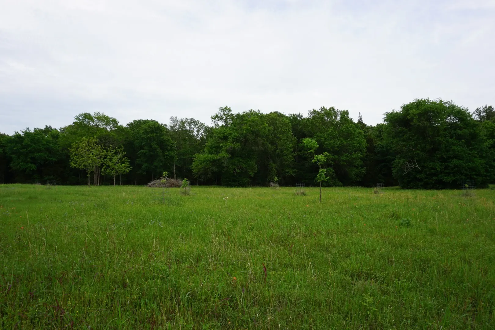 Unimproved Land For Sale in Henderson County , 11919 County Road 1200, Malakoff, Texas 75148, 0, 0, Garage spaces, 0 Sqft, built in 0, mls#21374117, Real Estate Agent in Malakoff, Homes For Sale in Henderson county, Homes For Sale in Malakoff, Realtor in Malakoff Texas, Real Estate Brokerage Independent Realty Texas, Luminita Cordes Realtor