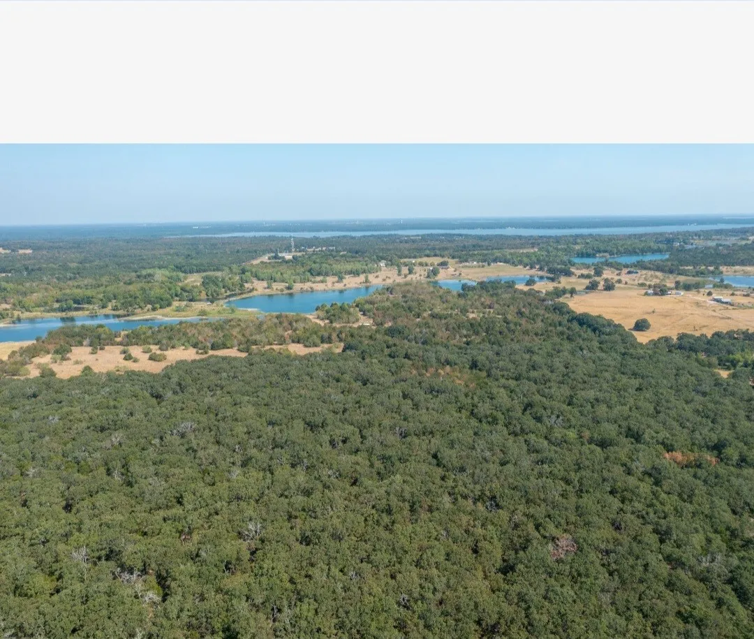 Ranch For Sale in Kaufman County , 31948 Fm 429, Terrell, Texas 75161, 0, 0, Garage spaces, 0 Sqft, built in 0, mls#21370604, Real Estate Agent in Terrell, Homes For Sale in Kaufman county, Homes For Sale in Terrell, Realtor in Terrell Texas, Real Estate Brokerage Independent Realty Texas, Luminita Cordes Realtor