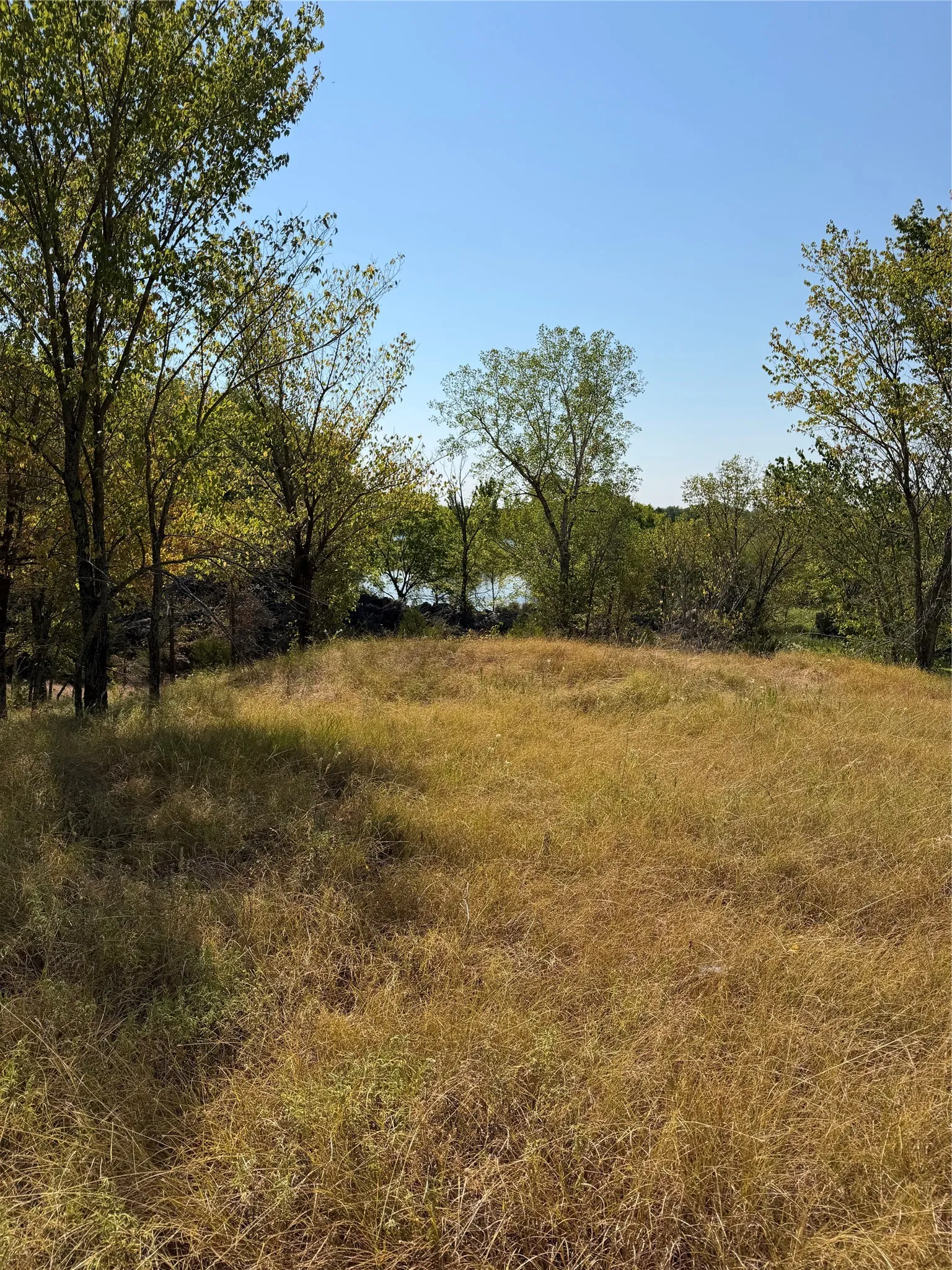 Ranch For Sale in Kaufman County , 31948 Fm 429, Terrell, Texas 75161, 0, 0, Garage spaces, 0 Sqft, built in 0, mls#21370604, Real Estate Agent in Terrell, Homes For Sale in Kaufman county, Homes For Sale in Terrell, Realtor in Terrell Texas, Real Estate Brokerage Independent Realty Texas, Luminita Cordes Realtor