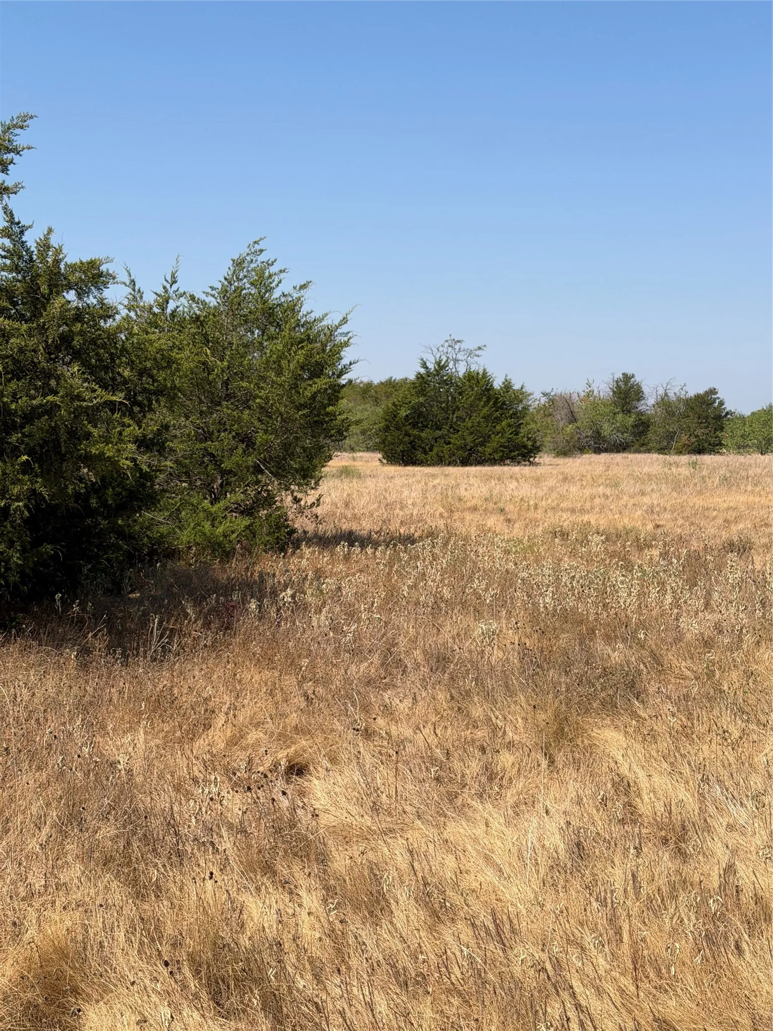 Ranch For Sale in Kaufman County , 31948 Fm 429, Terrell, Texas 75161, 0, 0, Garage spaces, 0 Sqft, built in 0, mls#21370604, Real Estate Agent in Terrell, Homes For Sale in Kaufman county, Homes For Sale in Terrell, Realtor in Terrell Texas, Real Estate Brokerage Independent Realty Texas, Luminita Cordes Realtor