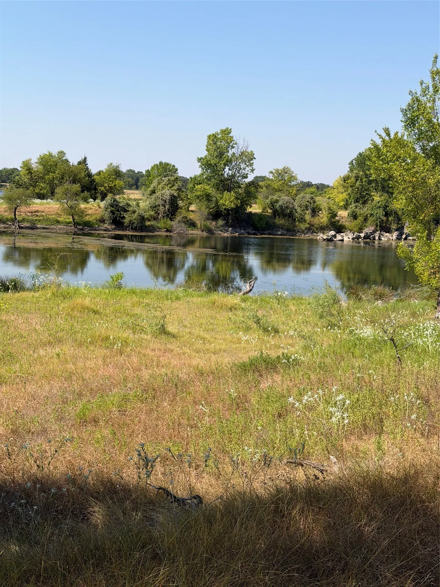 Ranch For Sale in Kaufman County , 31948 Fm 429, Terrell, Texas 75161, 0, 0, Garage spaces, 0 Sqft, built in 0, mls#21370604, Real Estate Agent in Terrell, Homes For Sale in Kaufman county, Homes For Sale in Terrell, Realtor in Terrell Texas, Real Estate Brokerage Independent Realty Texas, Luminita Cordes Realtor