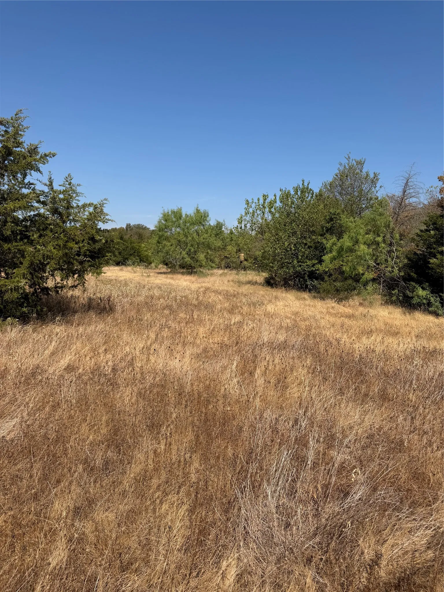Ranch For Sale in Kaufman County , 31948 Fm 429, Terrell, Texas 75161, 0, 0, Garage spaces, 0 Sqft, built in 0, mls#21370604, Real Estate Agent in Terrell, Homes For Sale in Kaufman county, Homes For Sale in Terrell, Realtor in Terrell Texas, Real Estate Brokerage Independent Realty Texas, Luminita Cordes Realtor