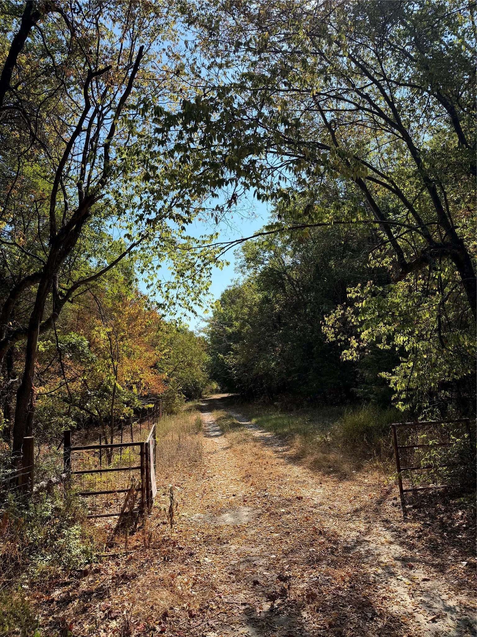 Ranch For Sale in Kaufman County , 31948 Fm 429, Terrell, Texas 75161, 0, 0, Garage spaces, 0 Sqft, built in 0, mls#21370604, Real Estate Agent in Terrell, Homes For Sale in Kaufman county, Homes For Sale in Terrell, Realtor in Terrell Texas, Real Estate Brokerage Independent Realty Texas, Luminita Cordes Realtor