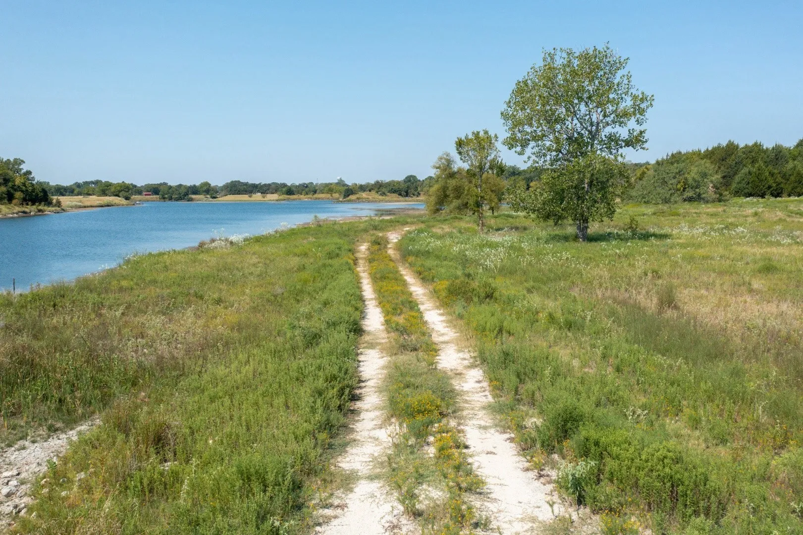 Ranch For Sale in Kaufman County , 31948 Fm 429, Terrell, Texas 75161, 0, 0, Garage spaces, 0 Sqft, built in 0, mls#21370604, Real Estate Agent in Terrell, Homes For Sale in Kaufman county, Homes For Sale in Terrell, Realtor in Terrell Texas, Real Estate Brokerage Independent Realty Texas, Luminita Cordes Realtor
