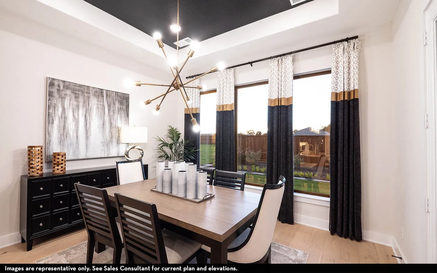 Tray ceiling with a black finish, light wood-finish flooring, and multiple large windows