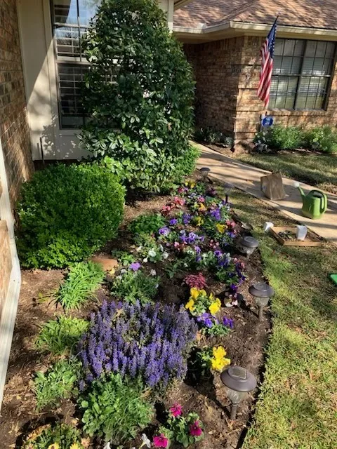 Front landscape bed when the heat was not so extreme.
