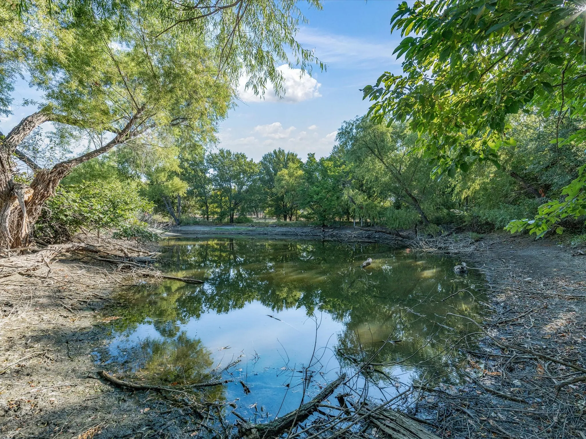 Single Family Residence For Sale in Young County , 584 HWY 16 N, Graham, Texas 76450, 3 Bedroom, 2 Bathroom, Garage spaces, 1,856 Sqft, built in 1965, mls#21370748, Real Estate Agent in Graham, Homes For Sale in Young county, Homes For Sale in Graham, Realtor in Graham Texas, Real Estate Brokerage Independent Realty Texas, Luminita Cordes Realtor