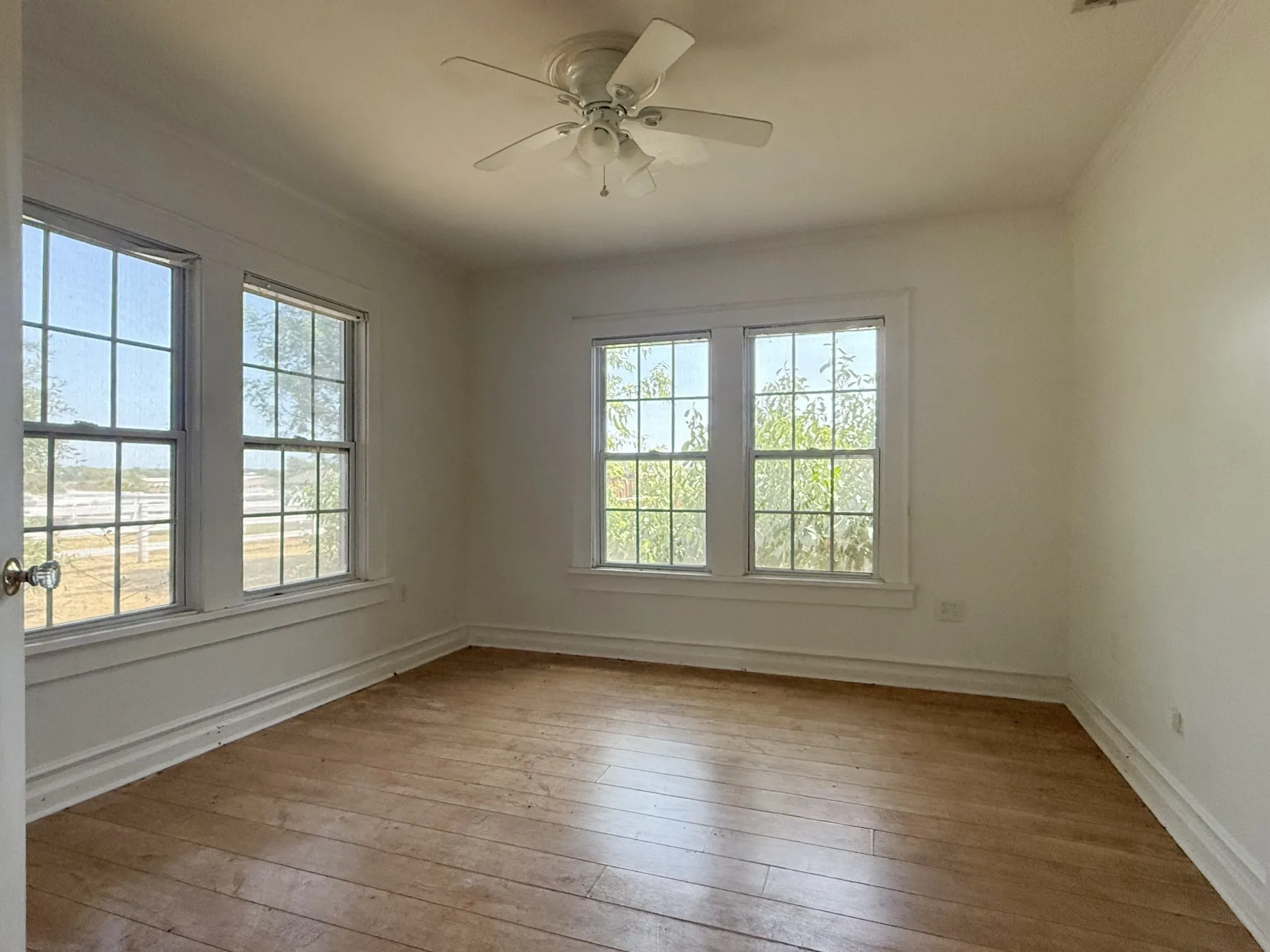 Wood-finish flooring, multiple pane windows, crown molding, and a ceiling fan
