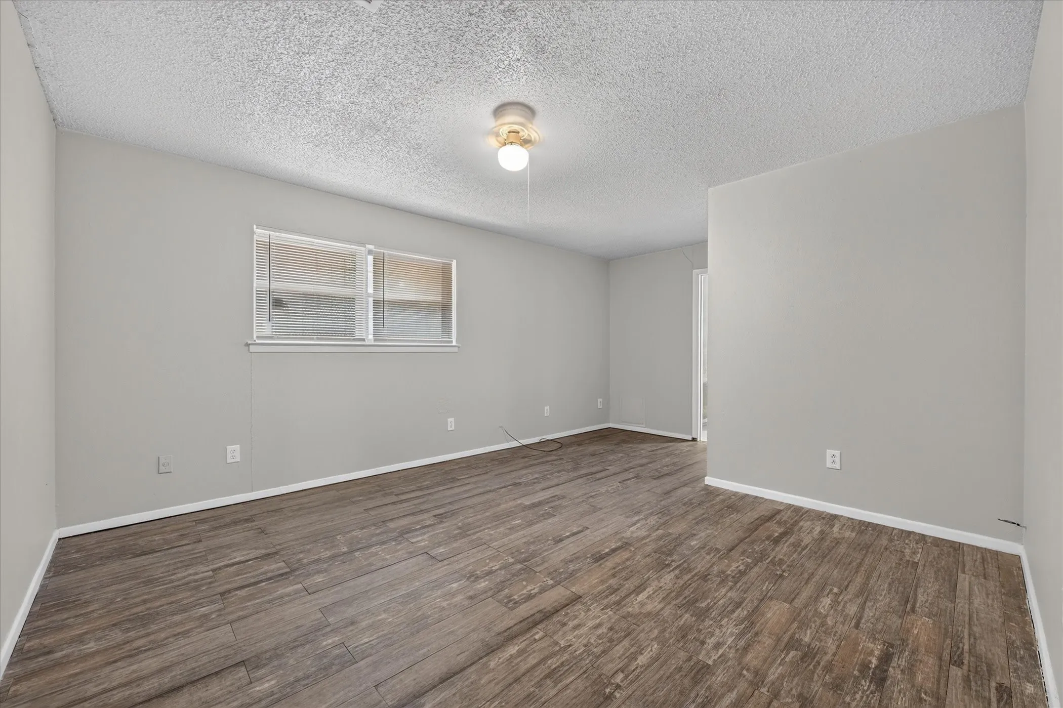 Wood-finish flooring, light gray wall paint, and a ceiling-mounted light fixture