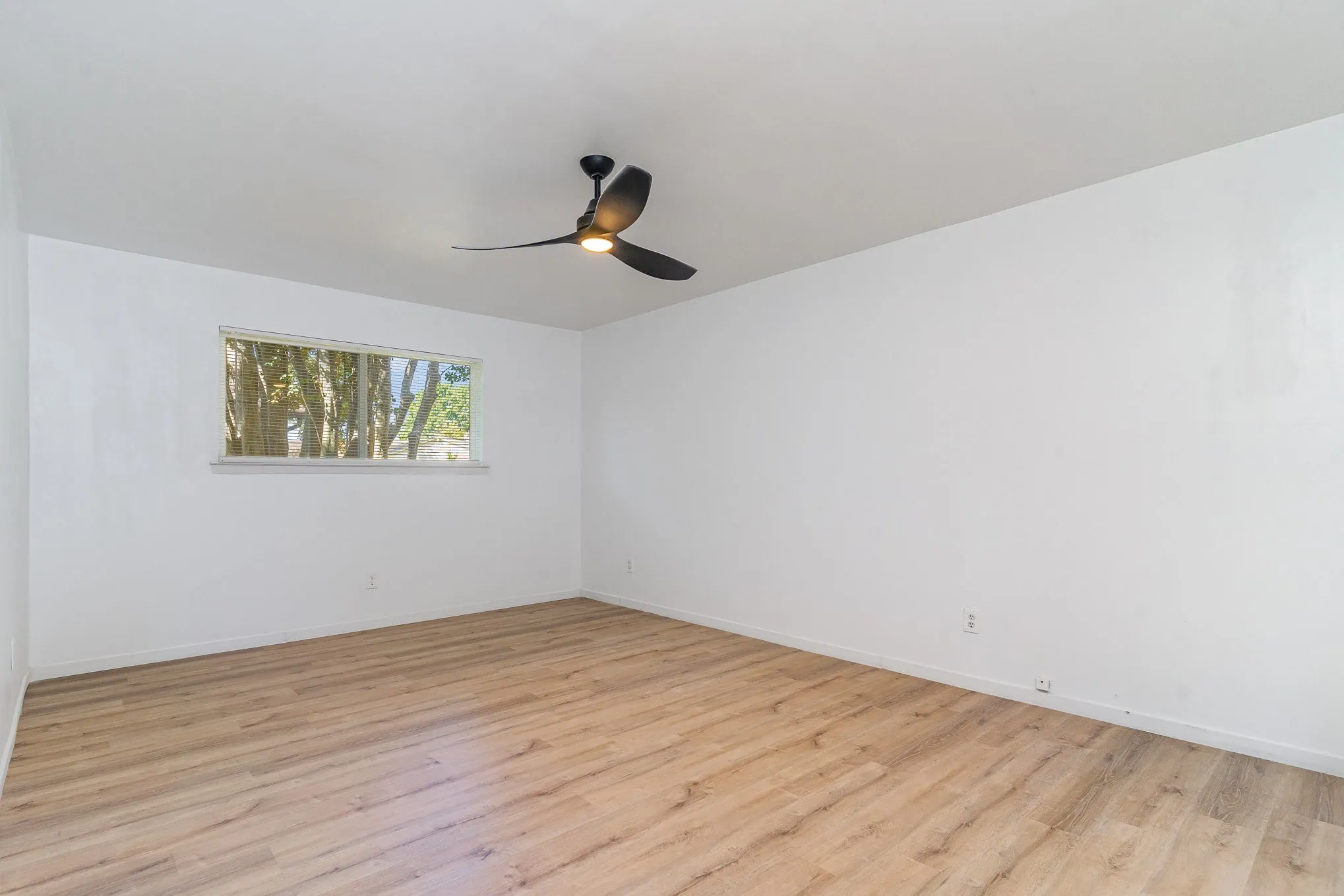 Empty room featuring light hardwood / wood-style floors and ceiling fan