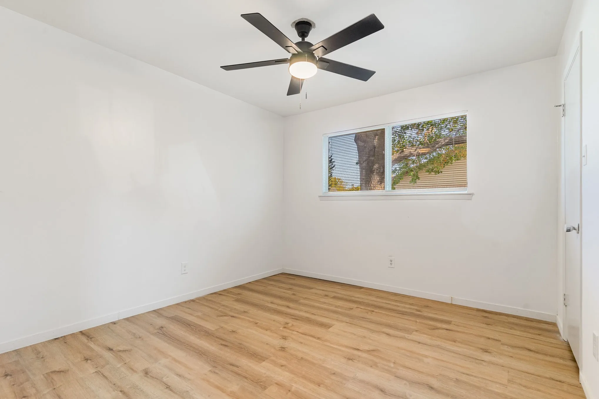 Empty room featuring ceiling fan and light hardwood / wood-style flooring