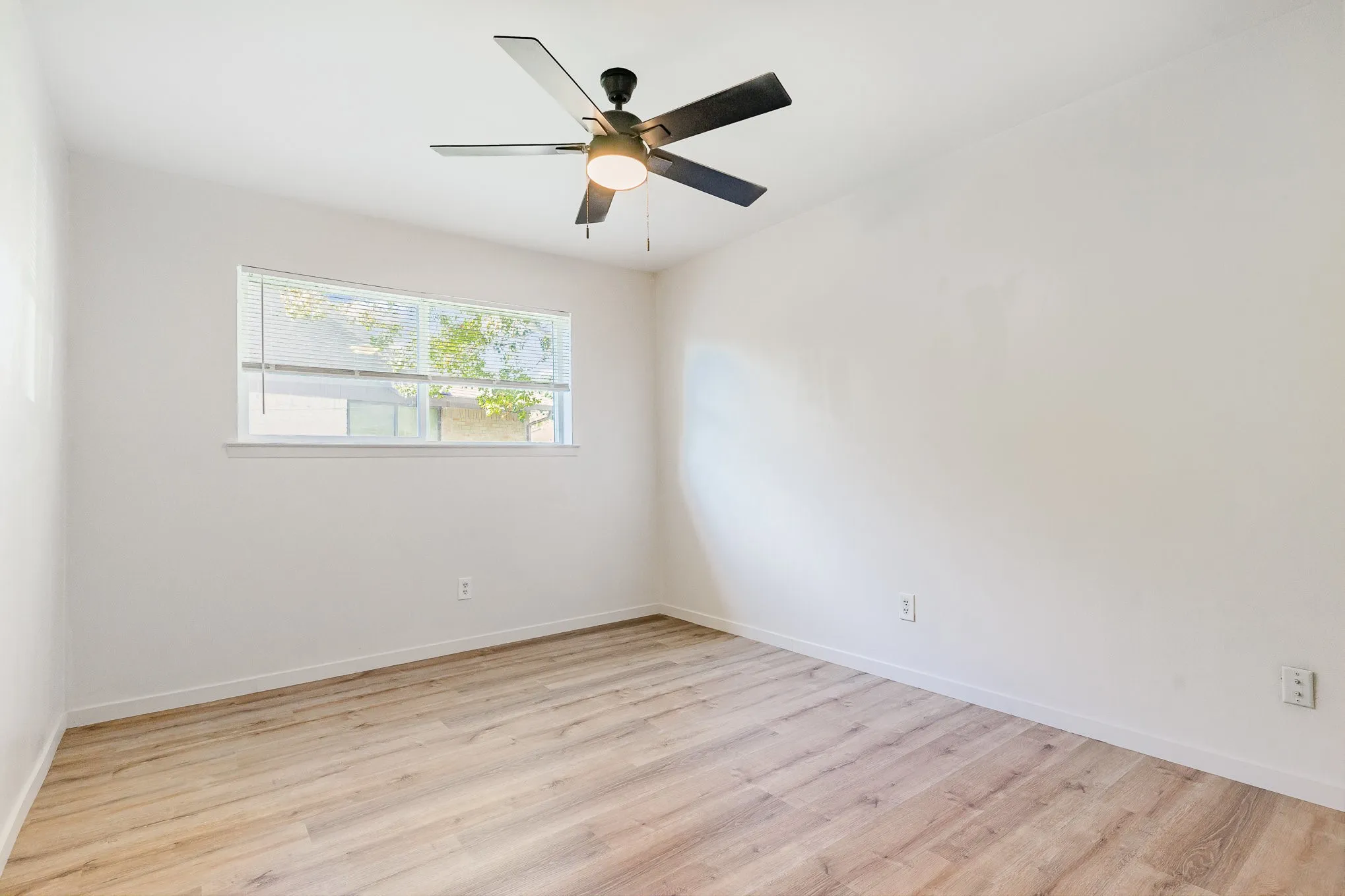 Empty room with ceiling fan and light hardwood / wood-style floors