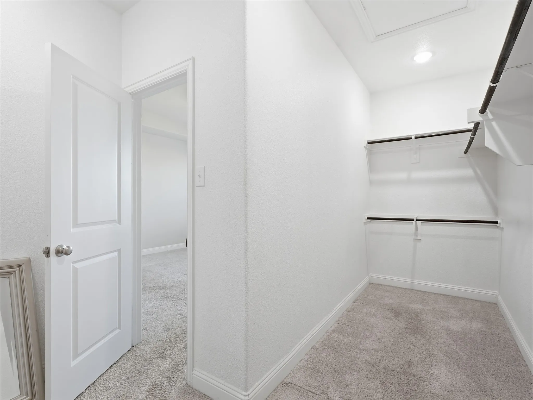 Walk-in closet with carpet flooring, white shelving, and hanging rods