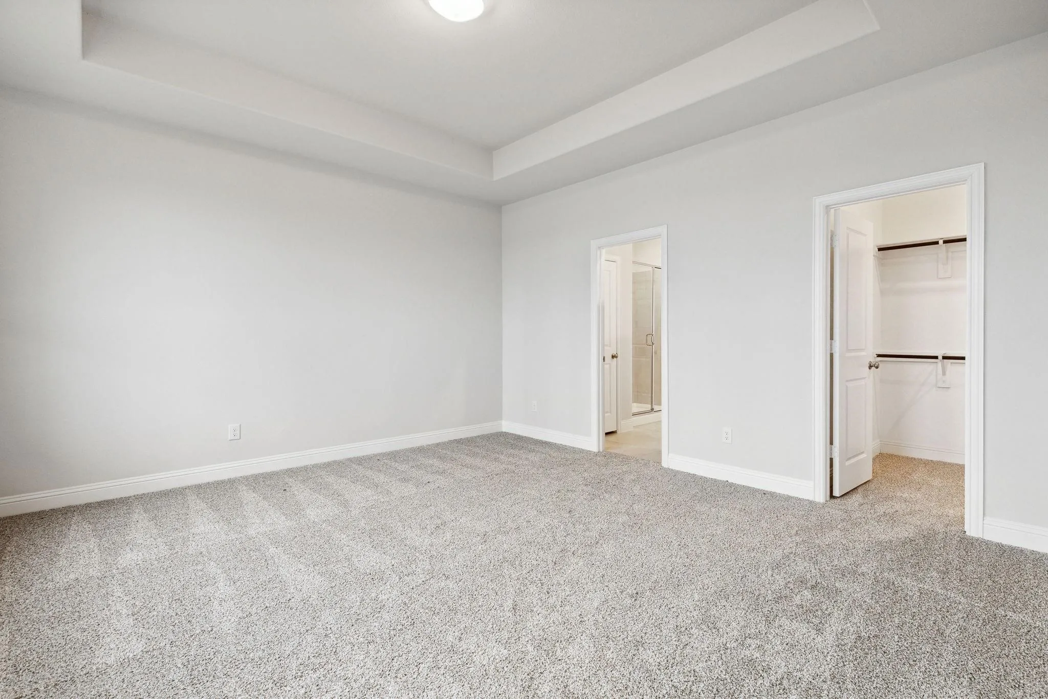 Unfurnished bedroom with a spacious closet, light carpet, a closet, and a raised ceiling
