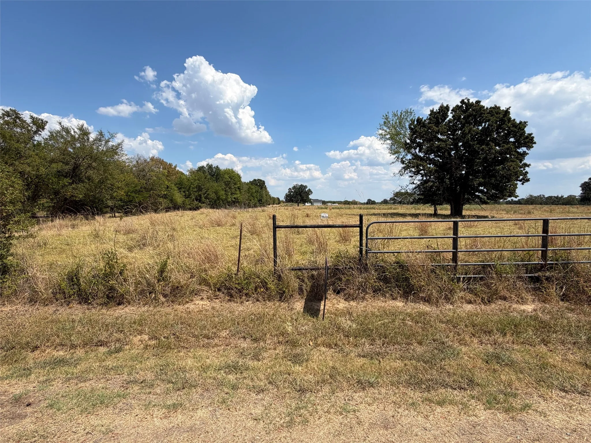 Unimproved Land For Sale in Rains County , 1196 RS County Road 3220, Emory, Texas 75440, 0, 0, Garage spaces, 0 Sqft, built in 0, mls#21373086, Real Estate Agent in Emory, Homes For Sale in Rains county, Homes For Sale in Emory, Realtor in Emory Texas, Real Estate Brokerage Independent Realty Texas, Luminita Cordes Realtor