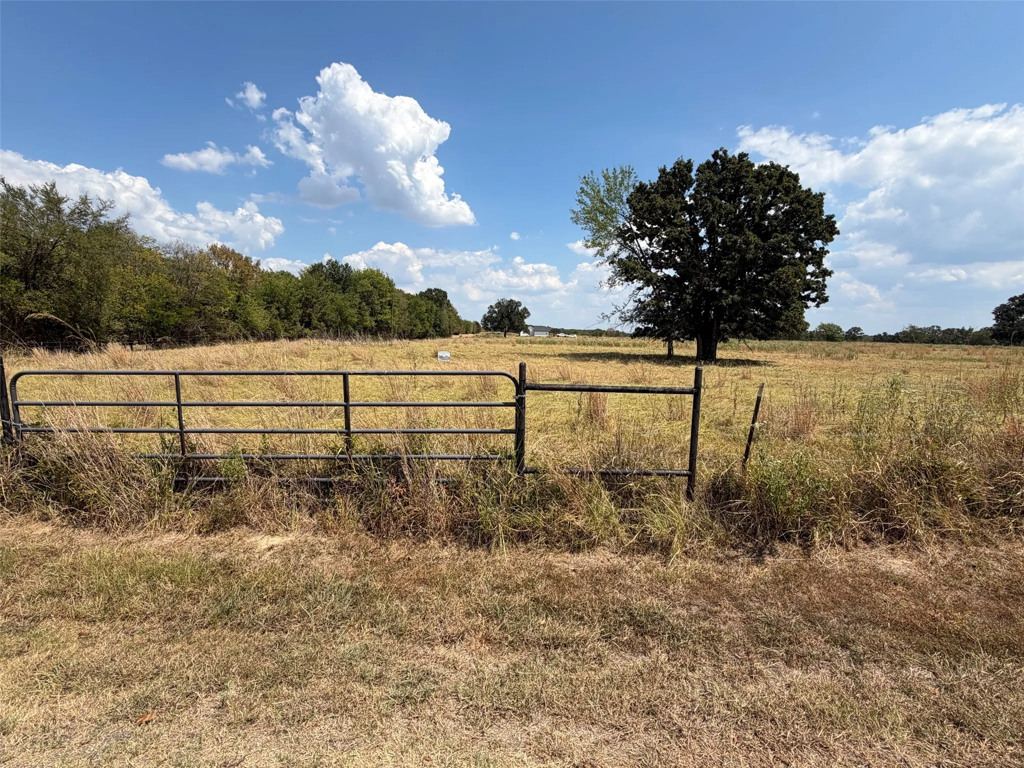Unimproved Land For Sale in Rains County , 1196 RS County Road 3220, Emory, Texas 75440, 0, 0, Garage spaces, 0 Sqft, built in 0, mls#21373086, Real Estate Agent in Emory, Homes For Sale in Rains county, Homes For Sale in Emory, Realtor in Emory Texas, Real Estate Brokerage Independent Realty Texas, Luminita Cordes Realtor