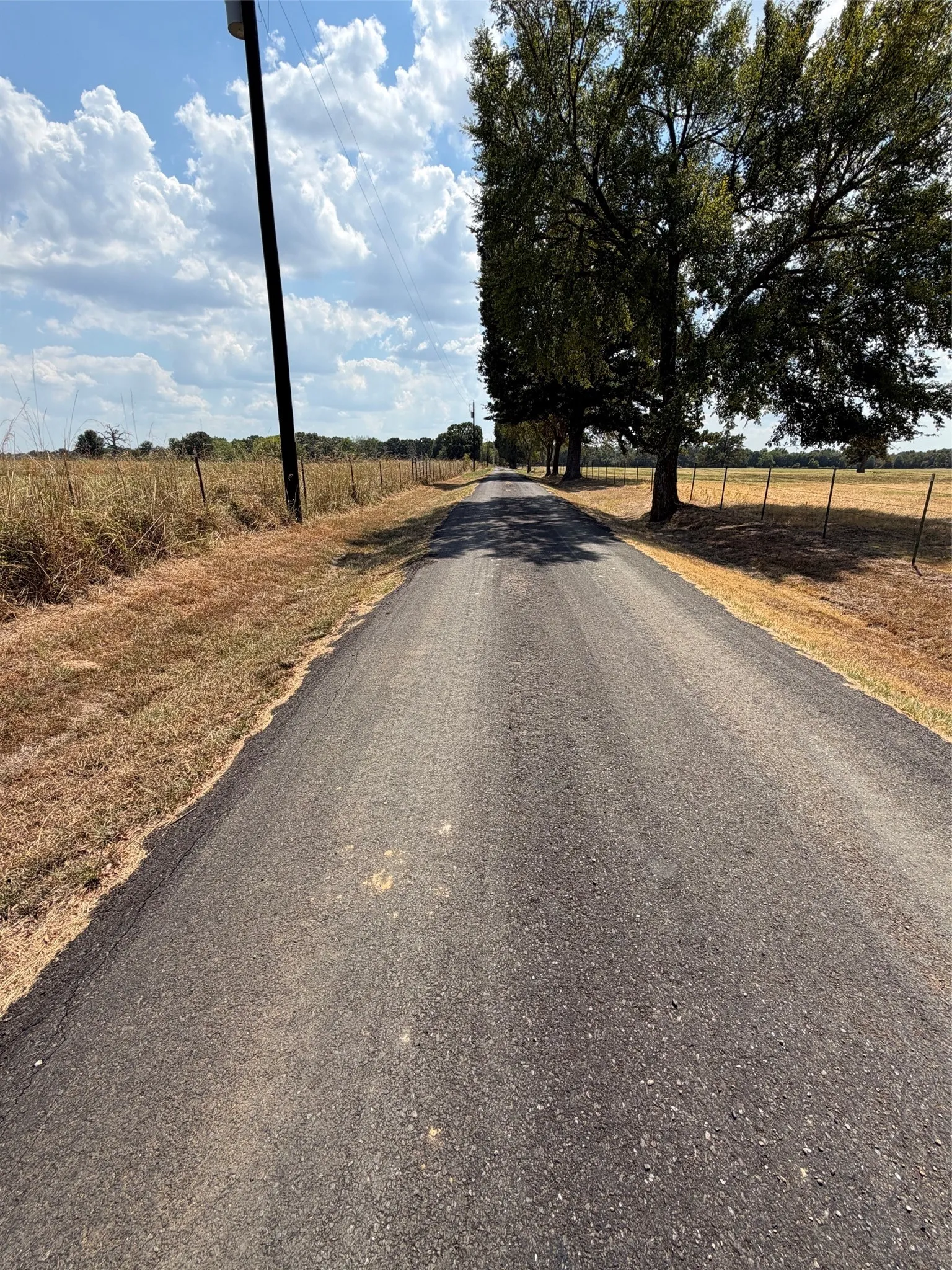 Unimproved Land For Sale in Rains County , 1196 RS County Road 3220, Emory, Texas 75440, 0, 0, Garage spaces, 0 Sqft, built in 0, mls#21373086, Real Estate Agent in Emory, Homes For Sale in Rains county, Homes For Sale in Emory, Realtor in Emory Texas, Real Estate Brokerage Independent Realty Texas, Luminita Cordes Realtor