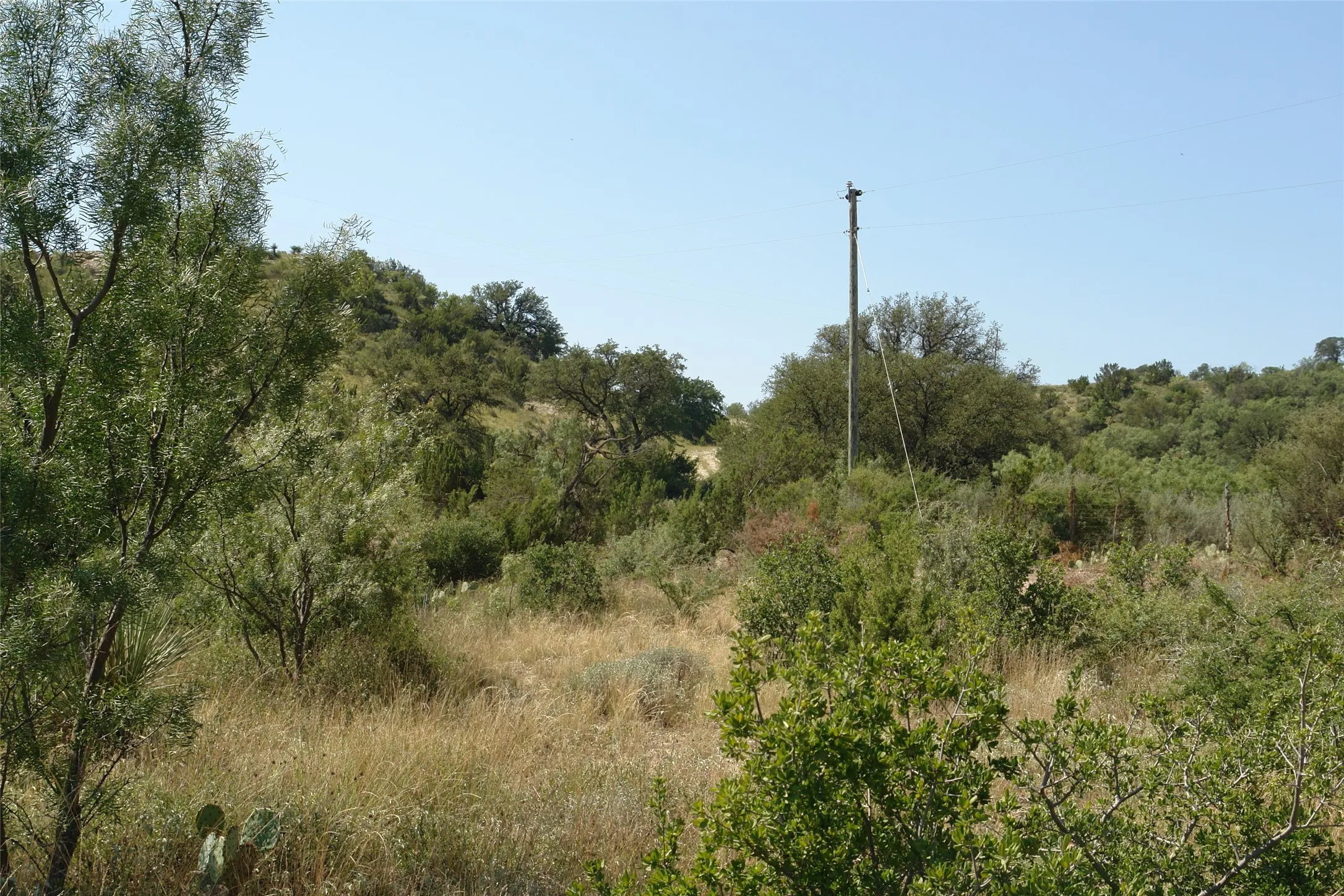 Ranch For Sale in Mc Culloch County , TBD County Road 146, Melvin, Texas 76825, 0, 0, Garage spaces, 0 Sqft, built in 0, mls#21374388, Real Estate Agent in Melvin, Homes For Sale in Mc Culloch county, Homes For Sale in Melvin, Realtor in Melvin Texas, Real Estate Brokerage Independent Realty Texas, Luminita Cordes Realtor