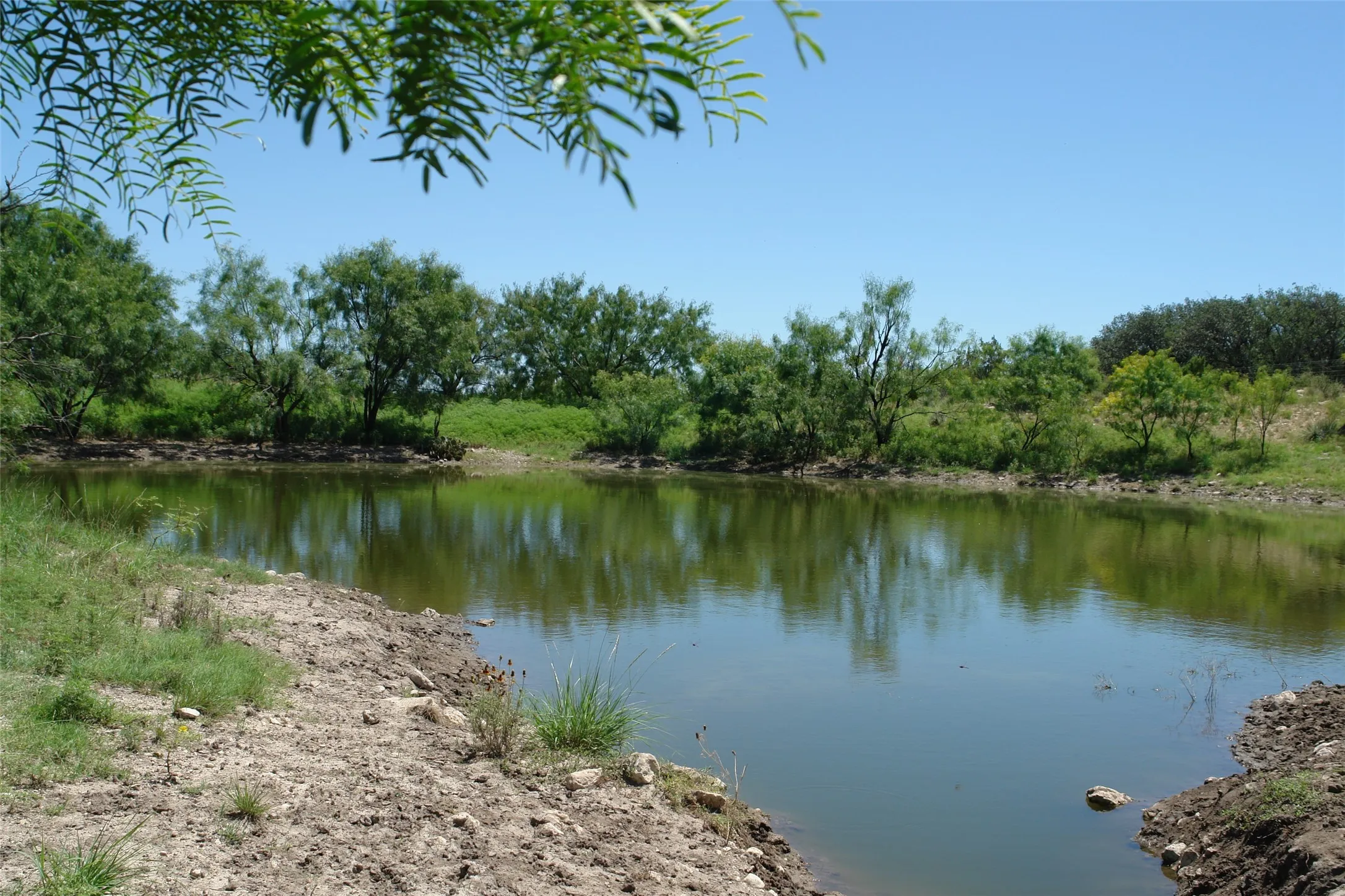 Ranch For Sale in Mc Culloch County , TBD County Road 146, Melvin, Texas 76825, 0, 0, Garage spaces, 0 Sqft, built in 0, mls#21374388, Real Estate Agent in Melvin, Homes For Sale in Mc Culloch county, Homes For Sale in Melvin, Realtor in Melvin Texas, Real Estate Brokerage Independent Realty Texas, Luminita Cordes Realtor