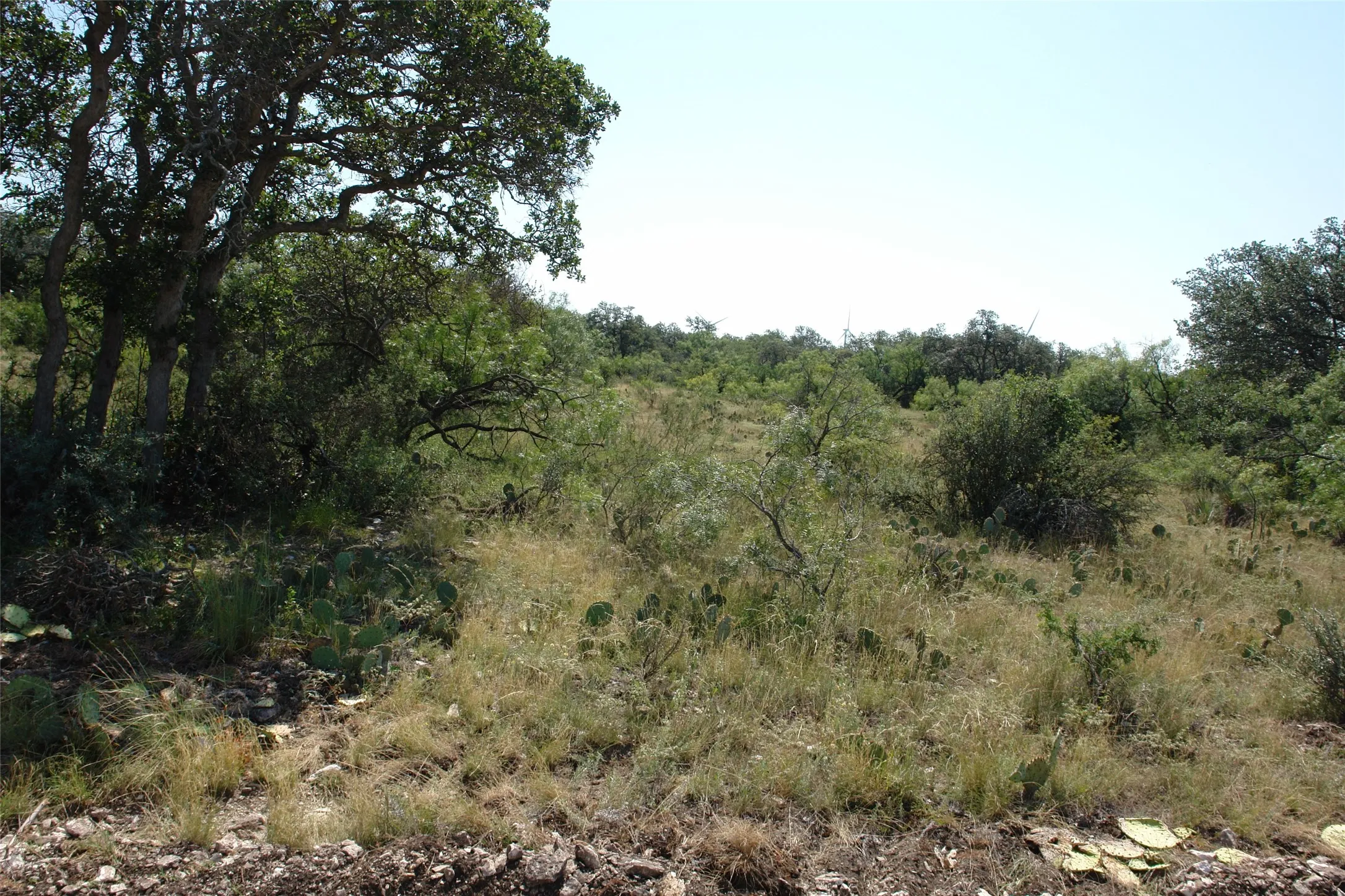 Ranch For Sale in Mc Culloch County , TBD County Road 146, Melvin, Texas 76825, 0, 0, Garage spaces, 0 Sqft, built in 0, mls#21374388, Real Estate Agent in Melvin, Homes For Sale in Mc Culloch county, Homes For Sale in Melvin, Realtor in Melvin Texas, Real Estate Brokerage Independent Realty Texas, Luminita Cordes Realtor