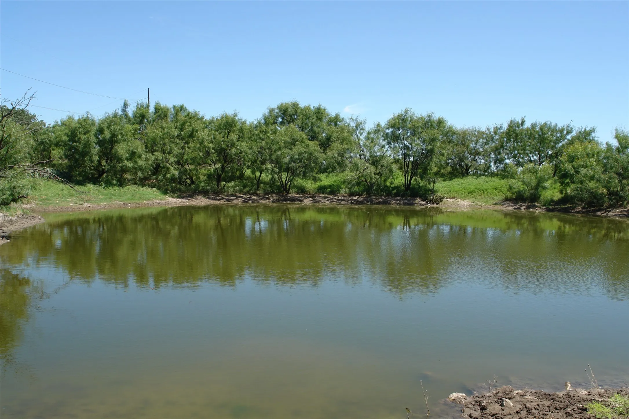 Ranch For Sale in Mc Culloch County , TBD County Road 146, Melvin, Texas 76825, 0, 0, Garage spaces, 0 Sqft, built in 0, mls#21374388, Real Estate Agent in Melvin, Homes For Sale in Mc Culloch county, Homes For Sale in Melvin, Realtor in Melvin Texas, Real Estate Brokerage Independent Realty Texas, Luminita Cordes Realtor