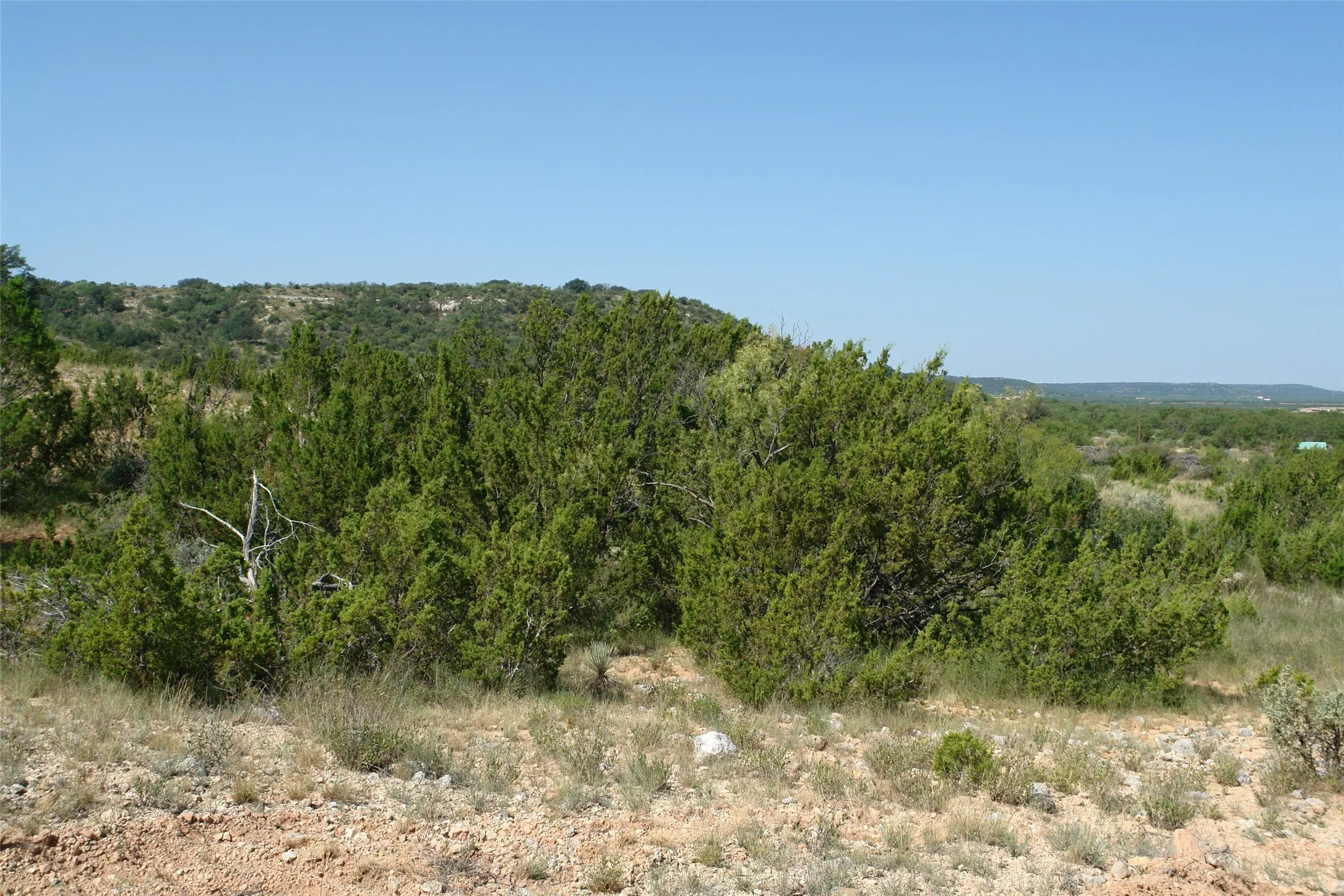 Ranch For Sale in Mc Culloch County , TBD County Road 146, Melvin, Texas 76825, 0, 0, Garage spaces, 0 Sqft, built in 0, mls#21374388, Real Estate Agent in Melvin, Homes For Sale in Mc Culloch county, Homes For Sale in Melvin, Realtor in Melvin Texas, Real Estate Brokerage Independent Realty Texas, Luminita Cordes Realtor