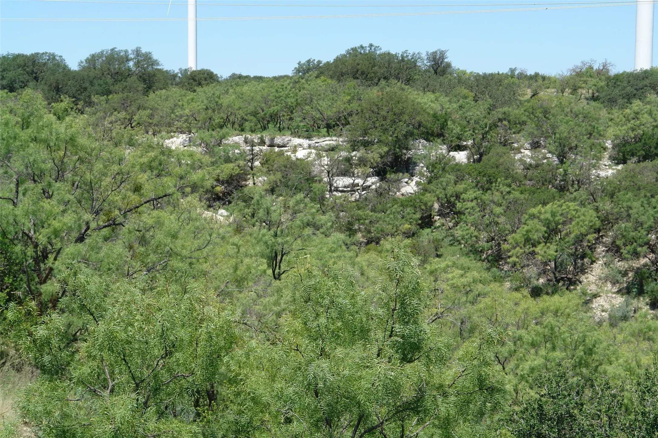 Ranch For Sale in Mc Culloch County , TBD County Road 146, Melvin, Texas 76825, 0, 0, Garage spaces, 0 Sqft, built in 0, mls#21374388, Real Estate Agent in Melvin, Homes For Sale in Mc Culloch county, Homes For Sale in Melvin, Realtor in Melvin Texas, Real Estate Brokerage Independent Realty Texas, Luminita Cordes Realtor