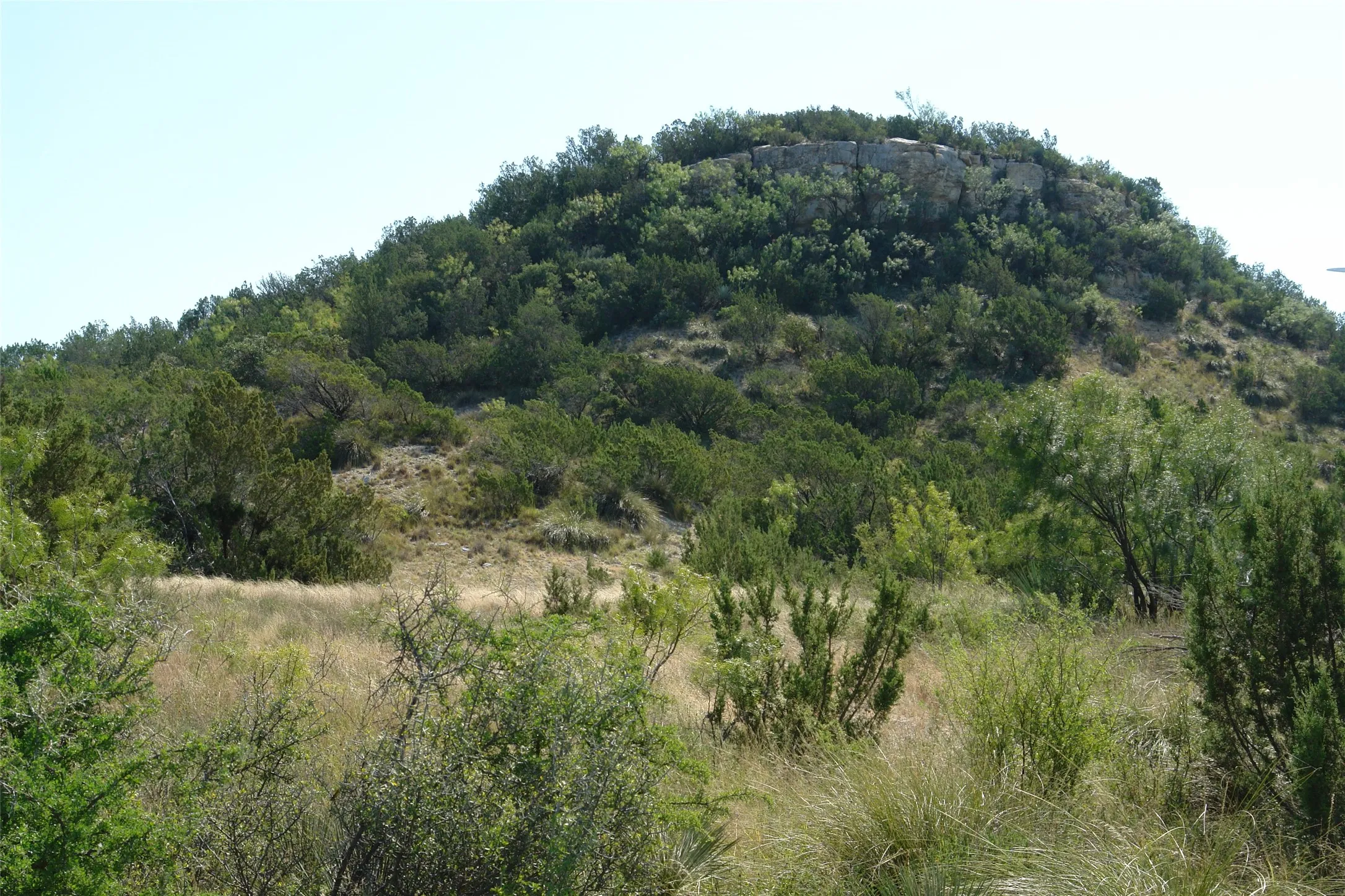 Ranch For Sale in Mc Culloch County , TBD County Road 146, Melvin, Texas 76825, 0, 0, Garage spaces, 0 Sqft, built in 0, mls#21374388, Real Estate Agent in Melvin, Homes For Sale in Mc Culloch county, Homes For Sale in Melvin, Realtor in Melvin Texas, Real Estate Brokerage Independent Realty Texas, Luminita Cordes Realtor