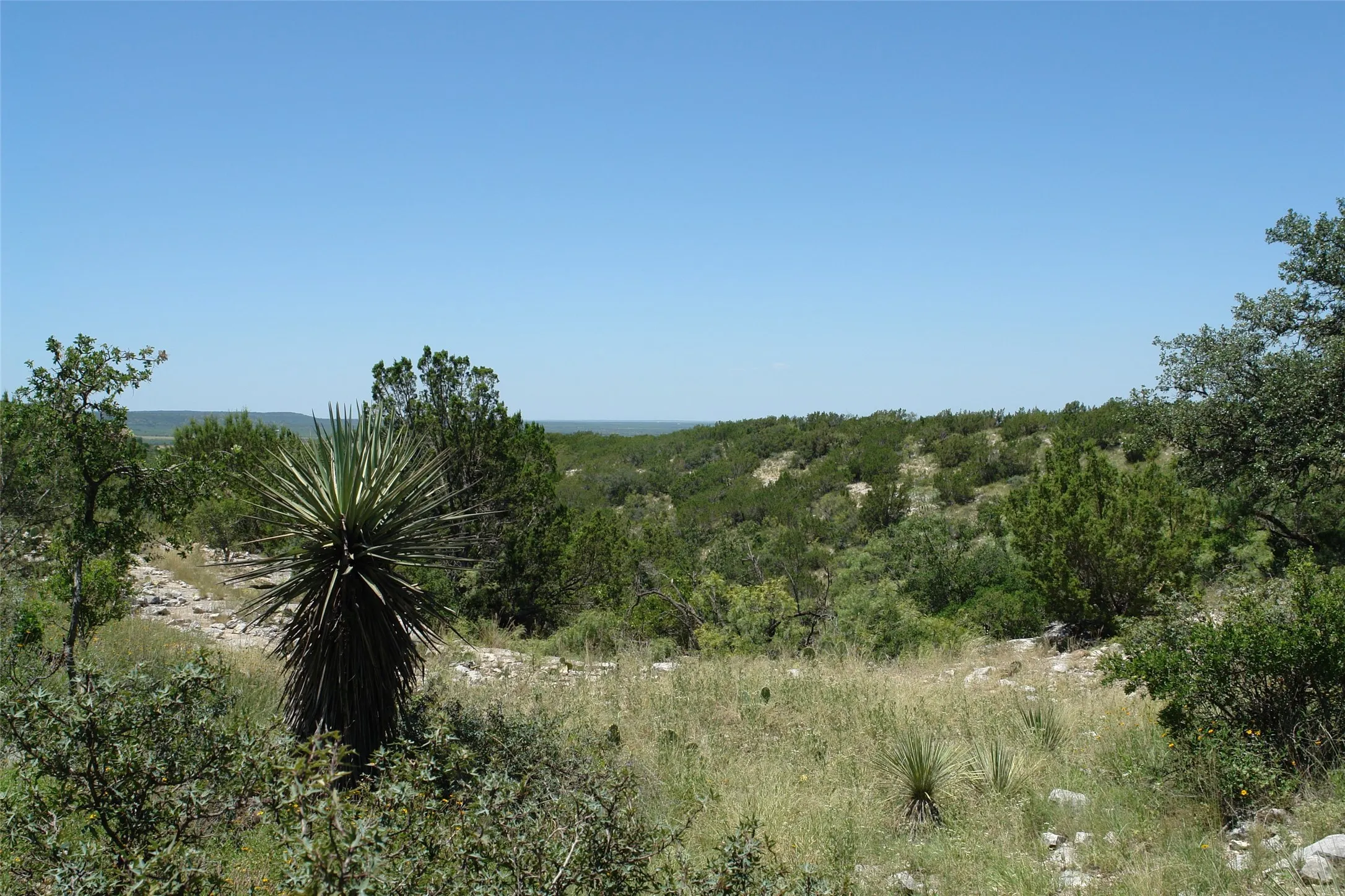 Ranch For Sale in Mc Culloch County , TBD County Road 146, Melvin, Texas 76825, 0, 0, Garage spaces, 0 Sqft, built in 0, mls#21374388, Real Estate Agent in Melvin, Homes For Sale in Mc Culloch county, Homes For Sale in Melvin, Realtor in Melvin Texas, Real Estate Brokerage Independent Realty Texas, Luminita Cordes Realtor
